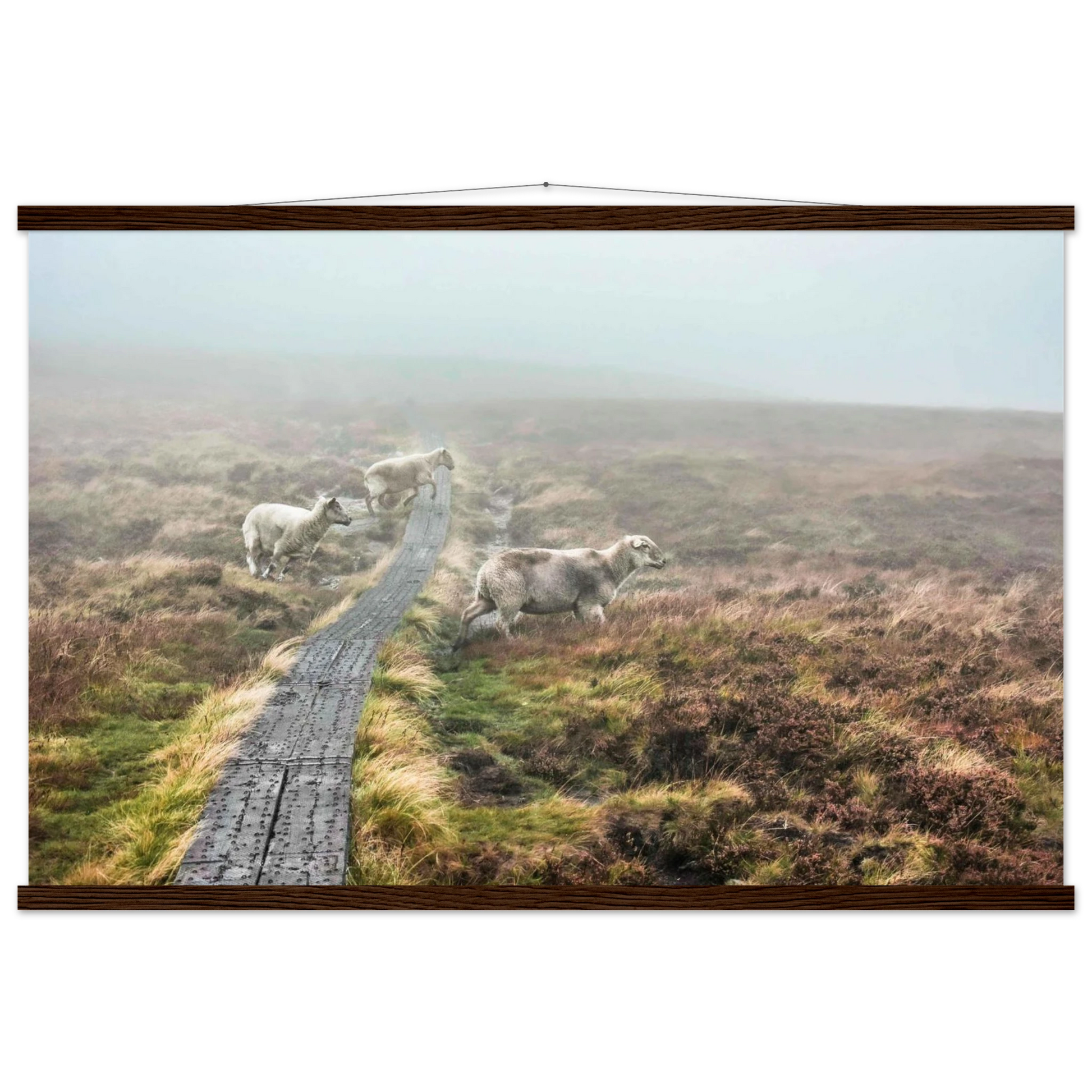 586d0f3e-2e48-40c2-8a22-06a0123b7945