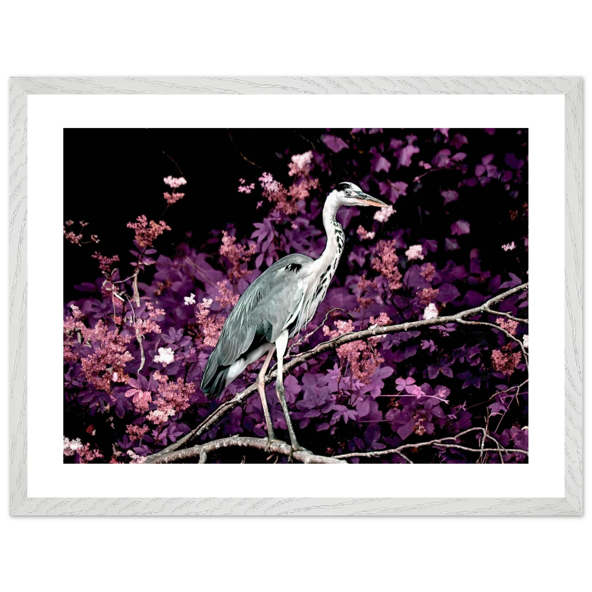 58a070dd-9327-44a2-990d-29af692dbe66