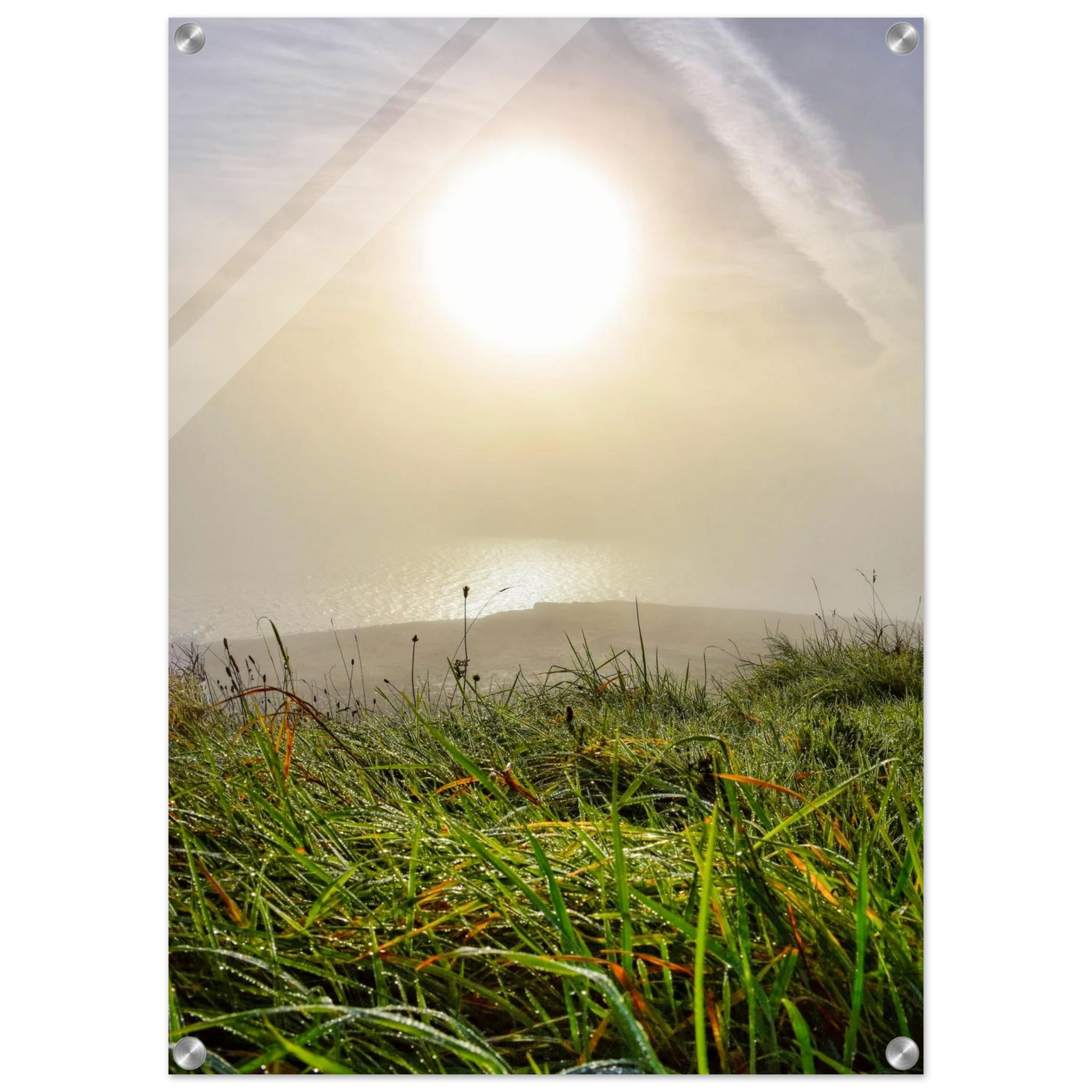 58ab7587-4d7a-4284-864f-1064c593e296