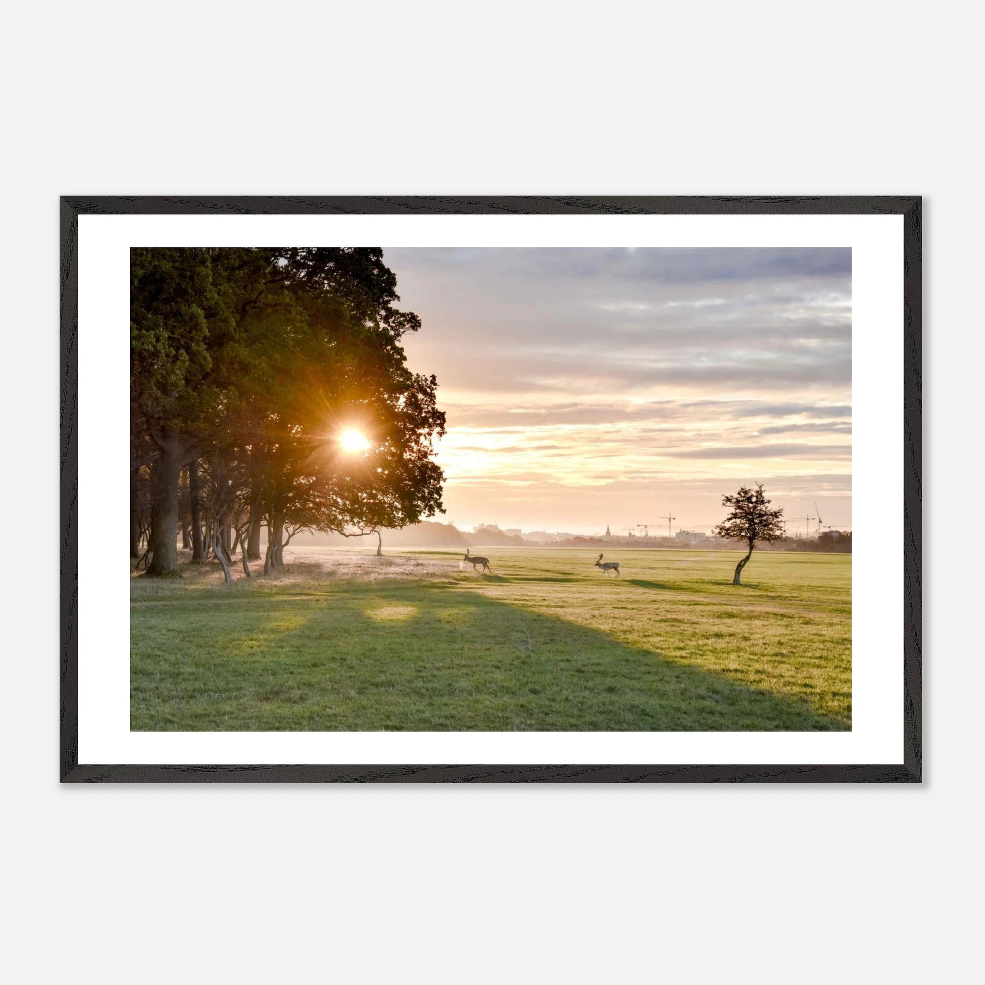 58ce4da2-f174-41d8-8144-e8da1239d0a1