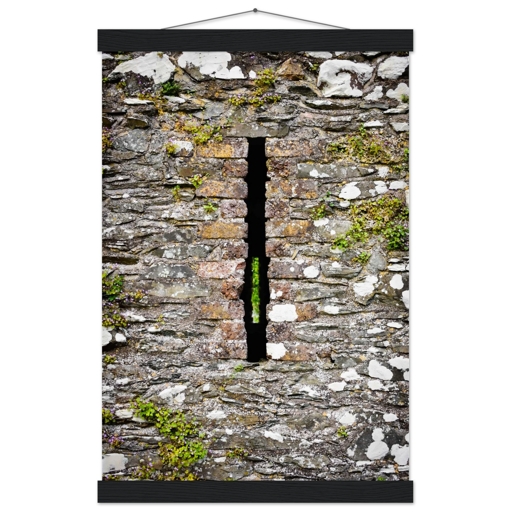 58da6698-de08-4588-ac37-836a1cfe69bf