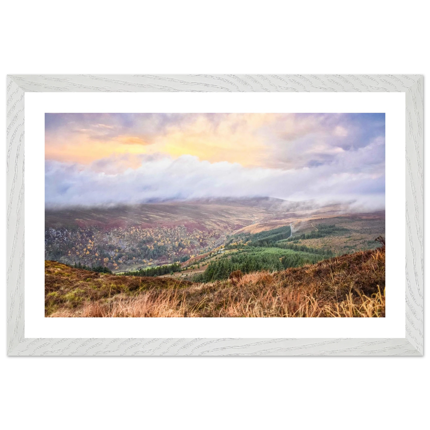 58fcdf59-251e-4ca0-a3da-866be96e0ac2