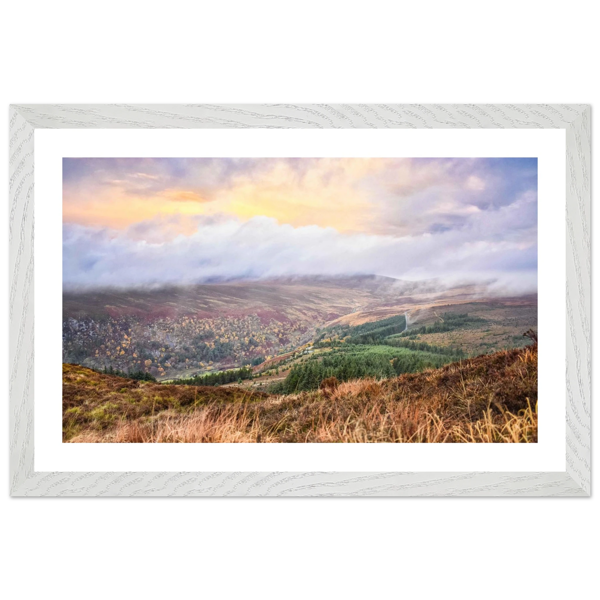 58fcdf59-251e-4ca0-a3da-866be96e0ac2