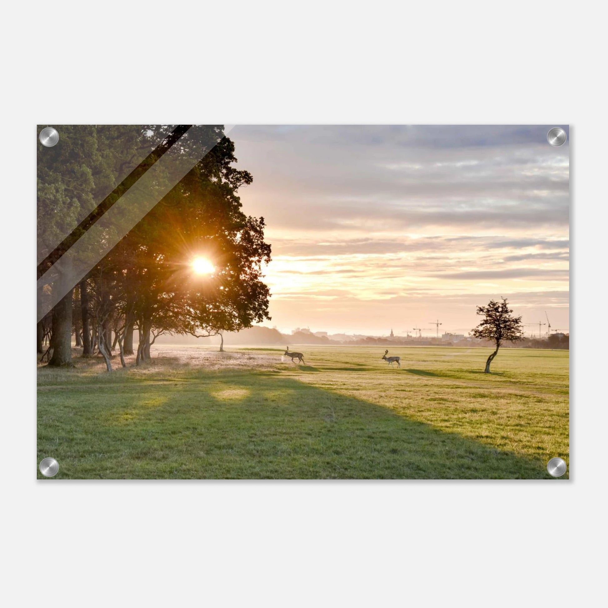 5911390c-fce1-4f84-b2de-dda42735eca7