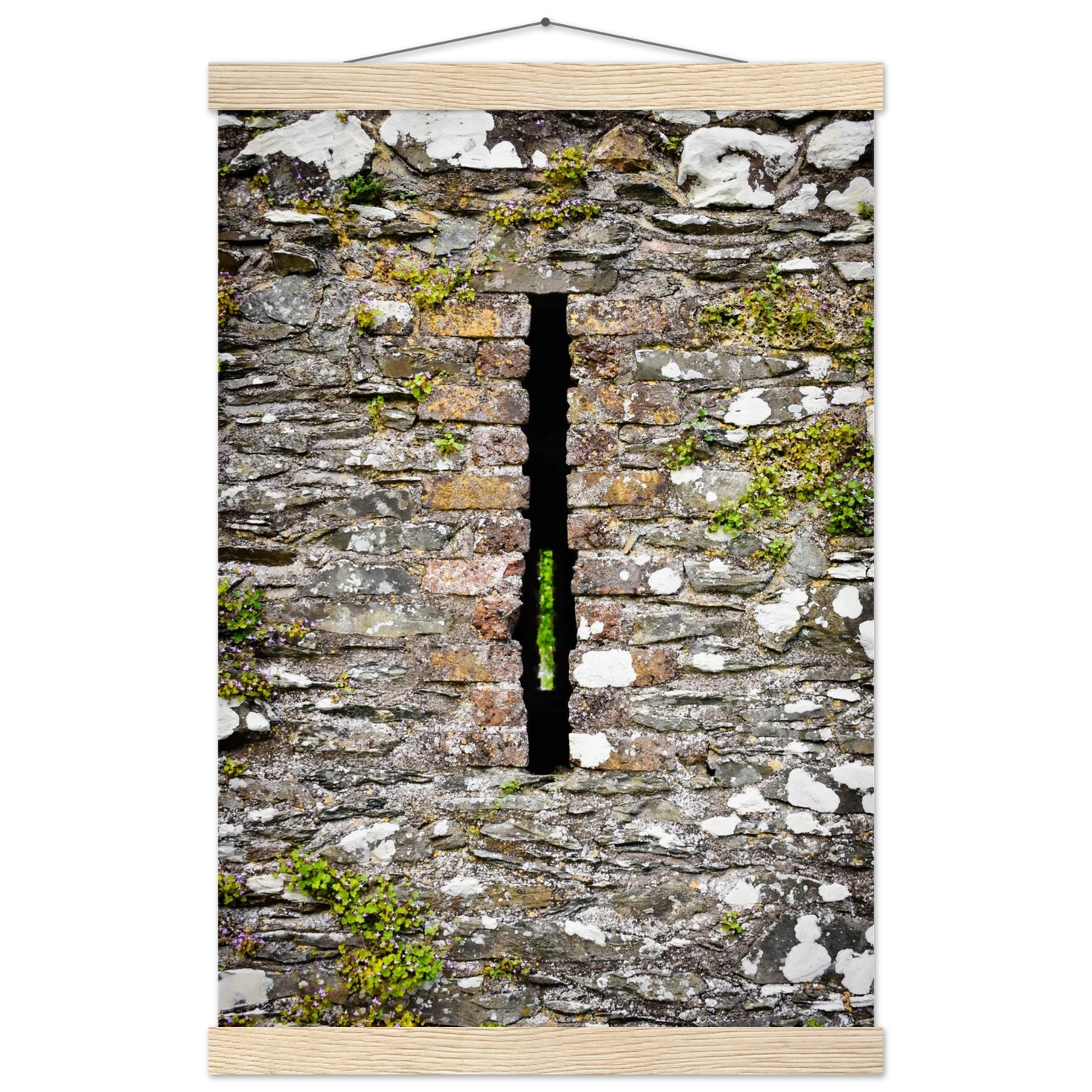 592a485d-6beb-4885-87e7-ab50d8c8be6e