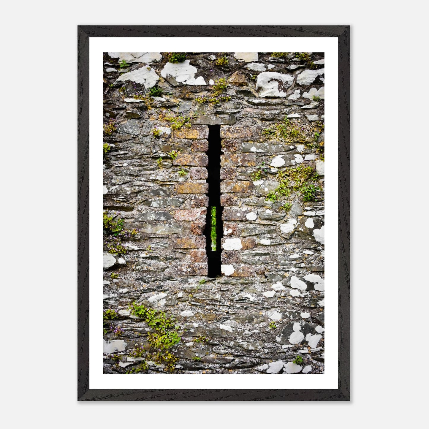 59633c0b-1218-4819-b927-e0d4e2aa880d