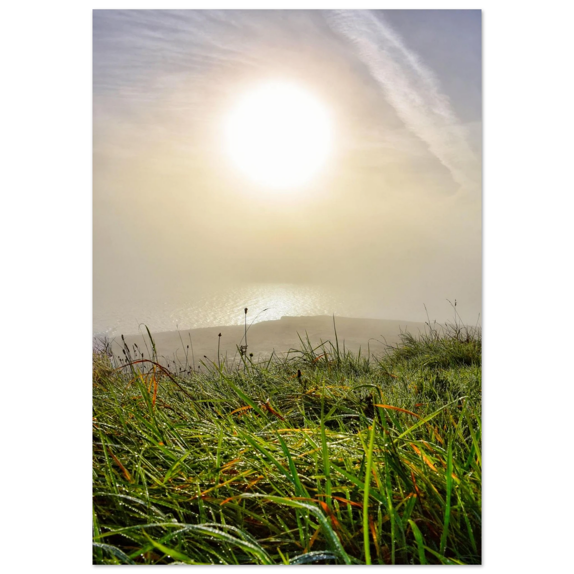 59a5580e-e7e5-4208-b54e-c391c5f7b07f