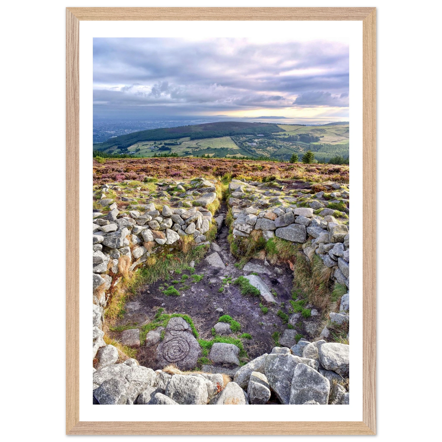 59eead49-1f67-4547-993a-af374c57db6c