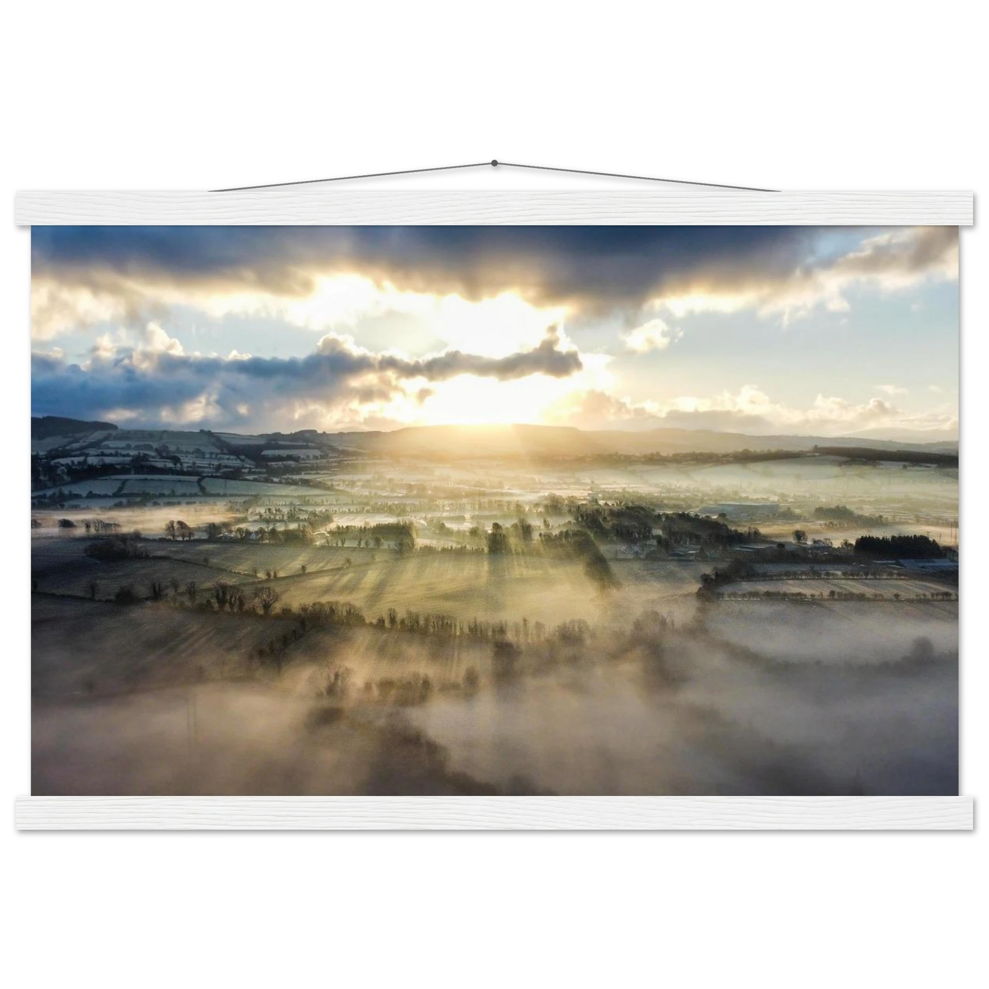 5a398ce3-3019-480a-bc84-47f98287b138