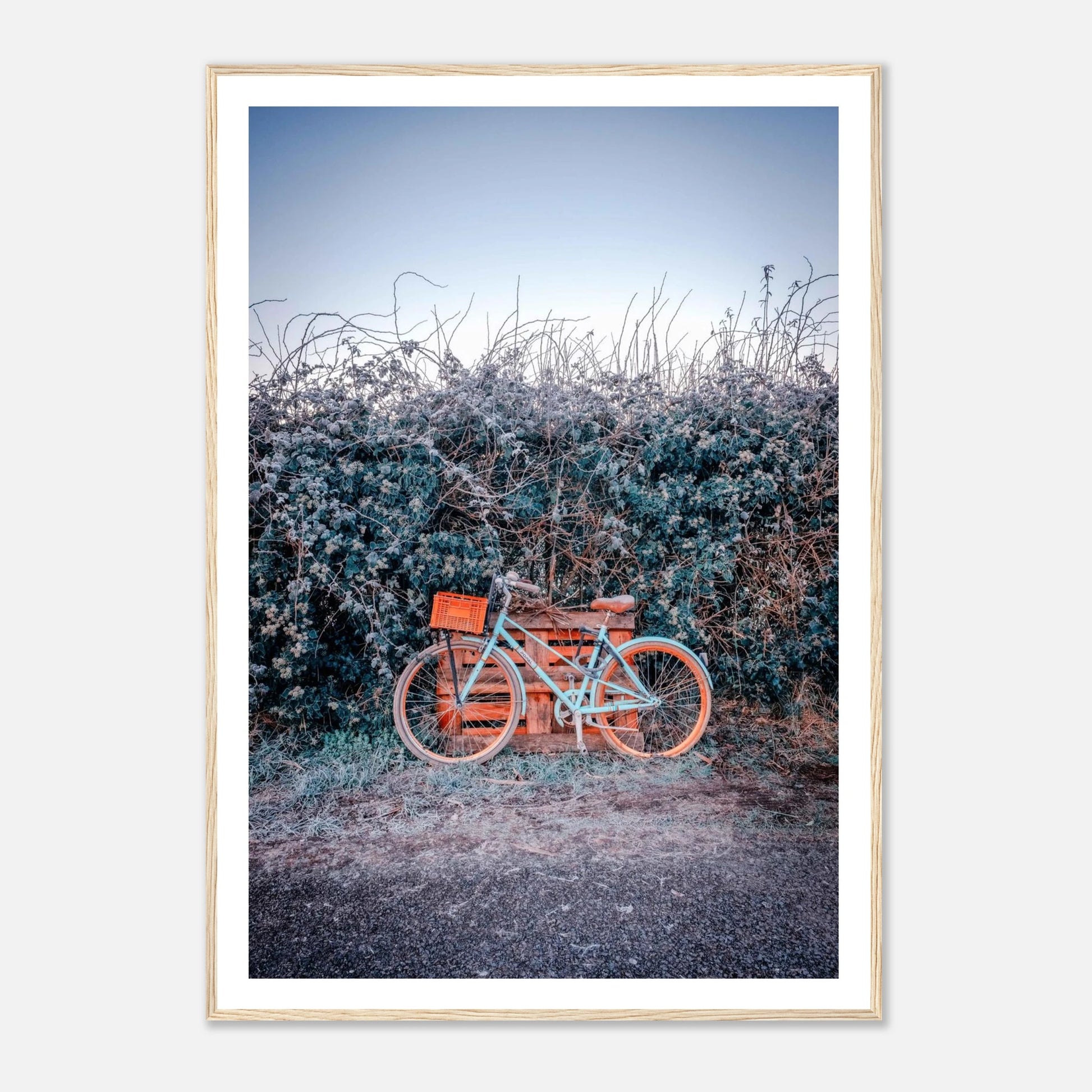 5b209eb2-e962-4c9d-80c6-232f2bf87c1a