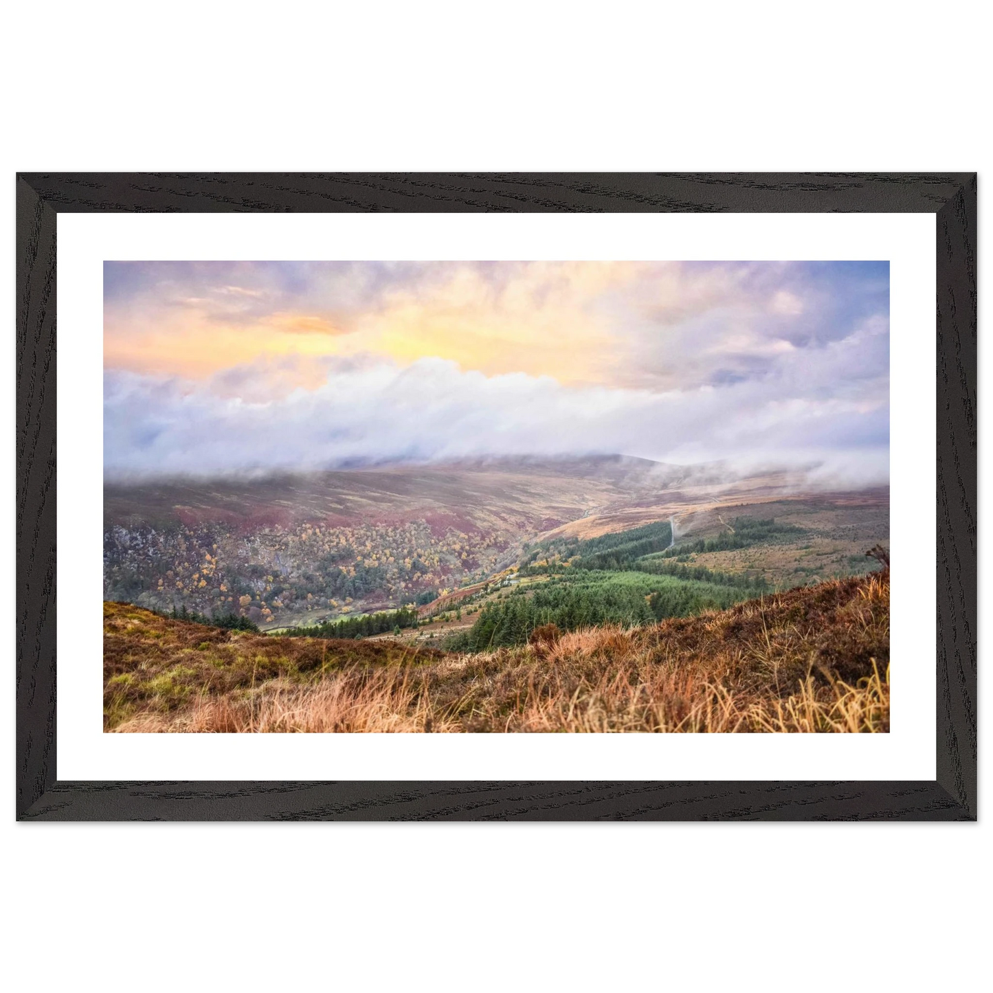 5c088b56-1838-48ae-ad56-b3fbc9ed6329