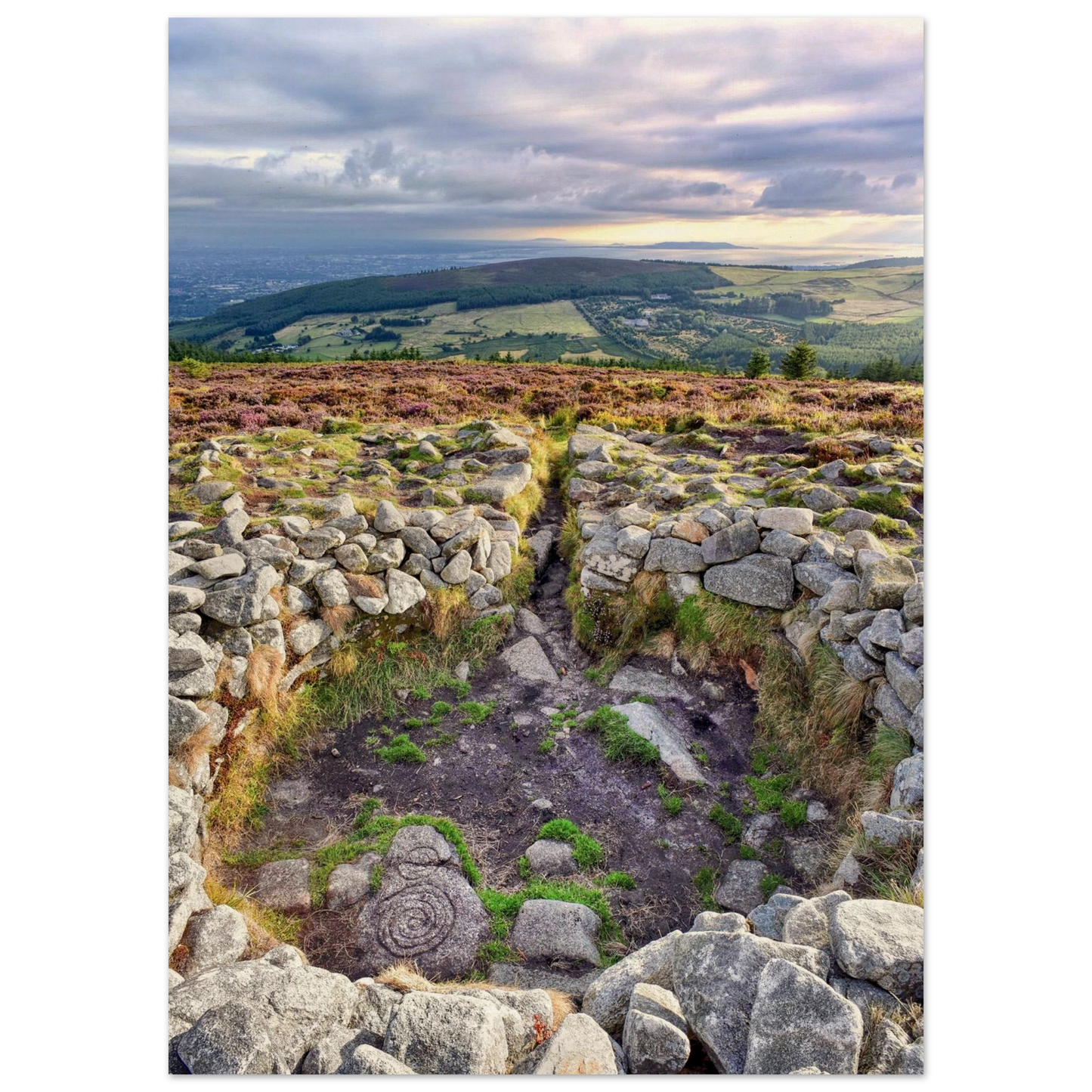 5c5710c8-70cd-4c4b-82e5-b3a56db64cd6