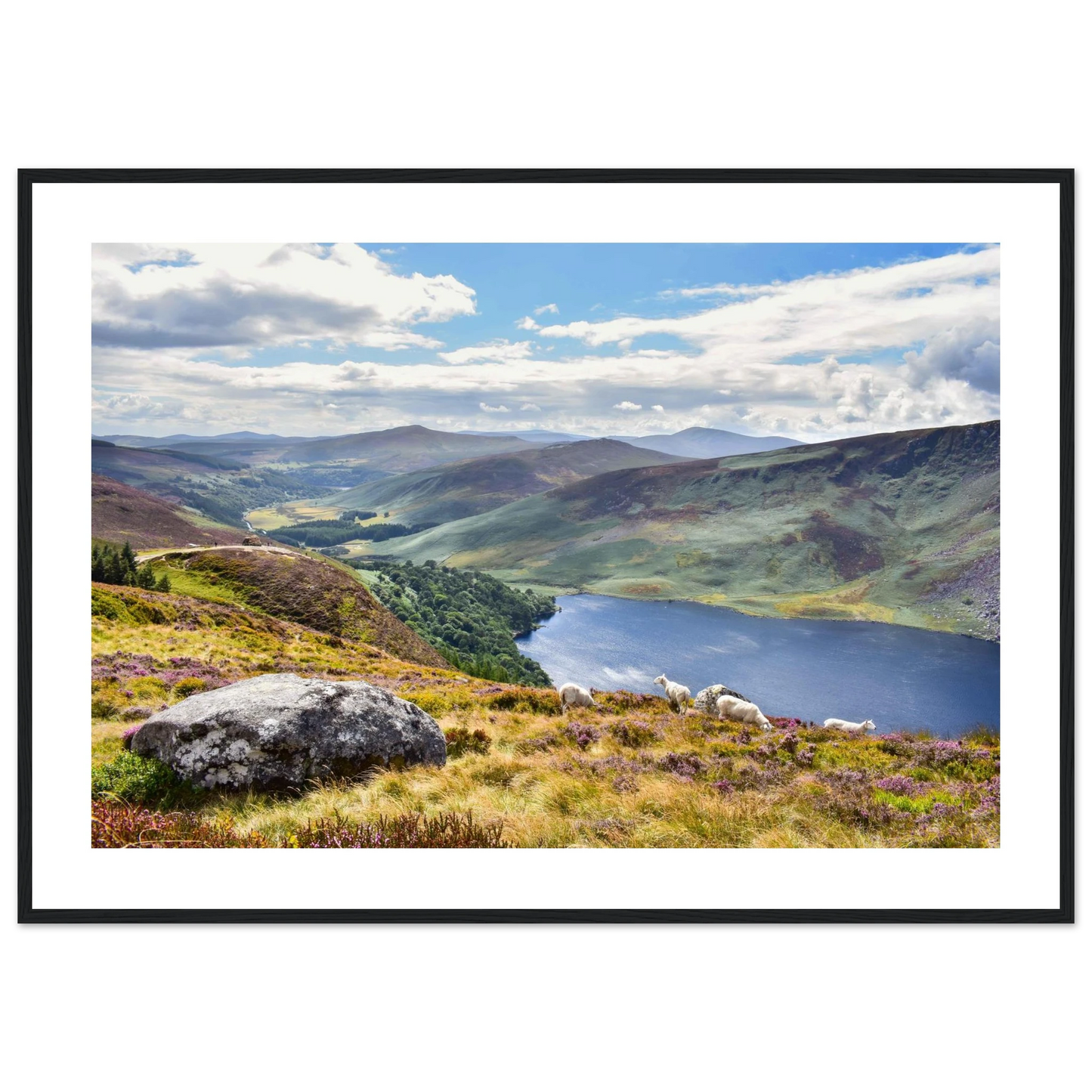 5cb40f38-b613-451a-b030-e46ca5689dcc