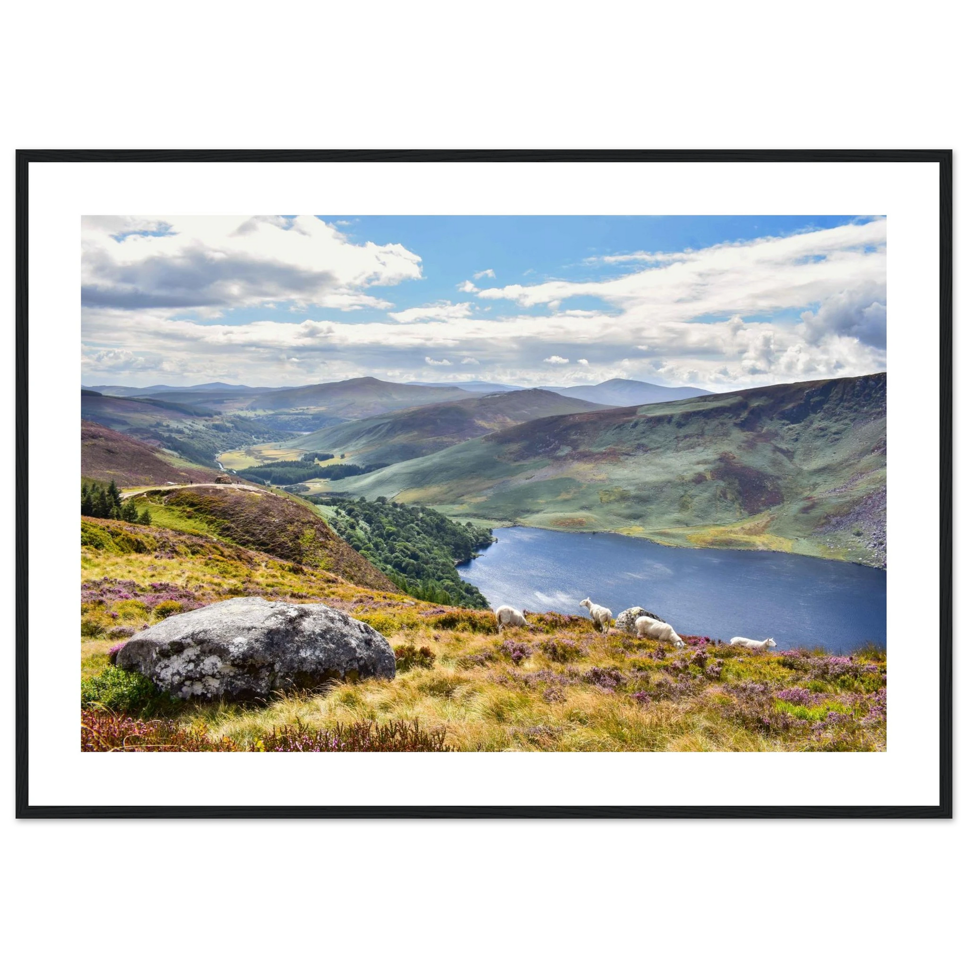 5cb40f38-b613-451a-b030-e46ca5689dcc