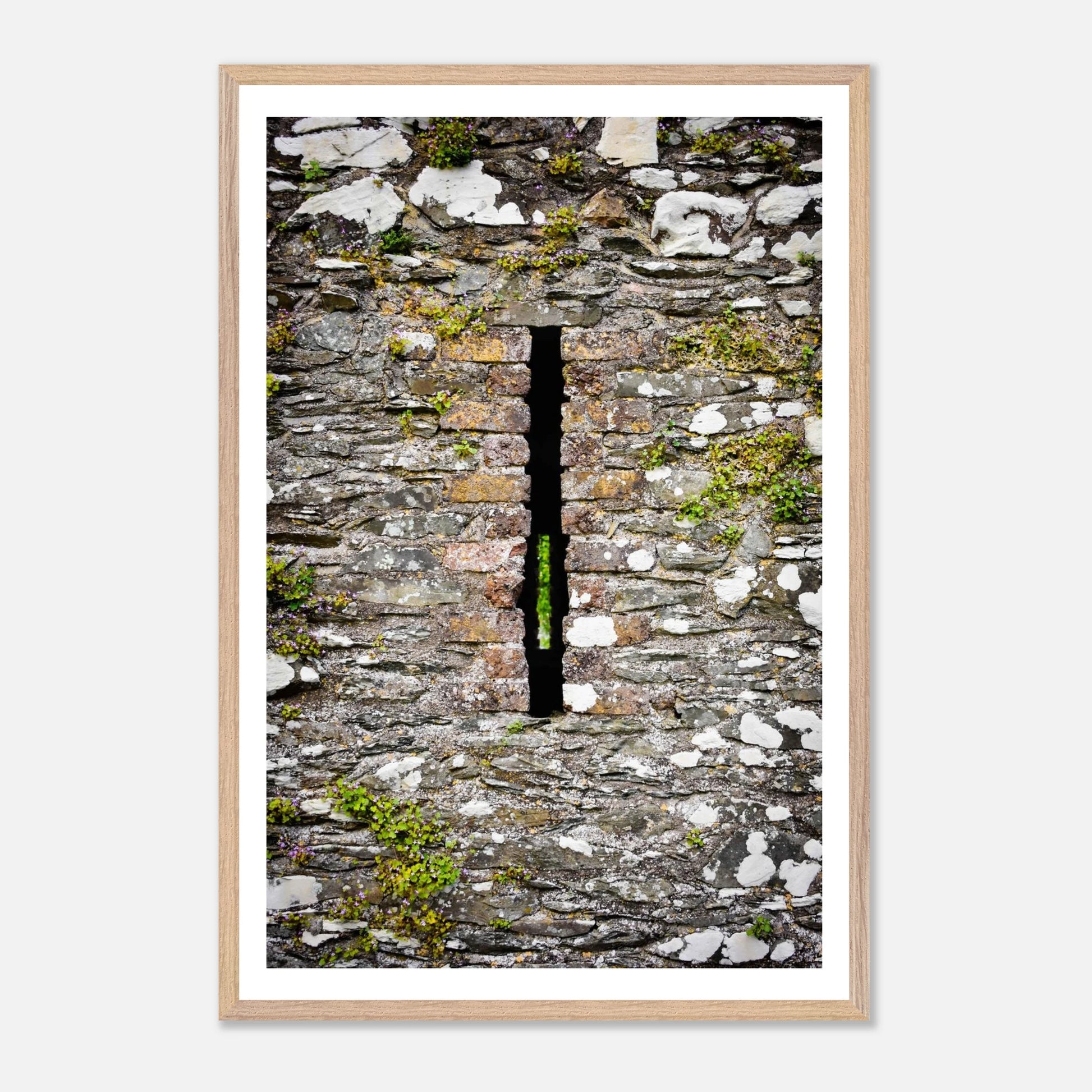 5ccdafd6-baef-4c3b-aeb6-125811e8a564