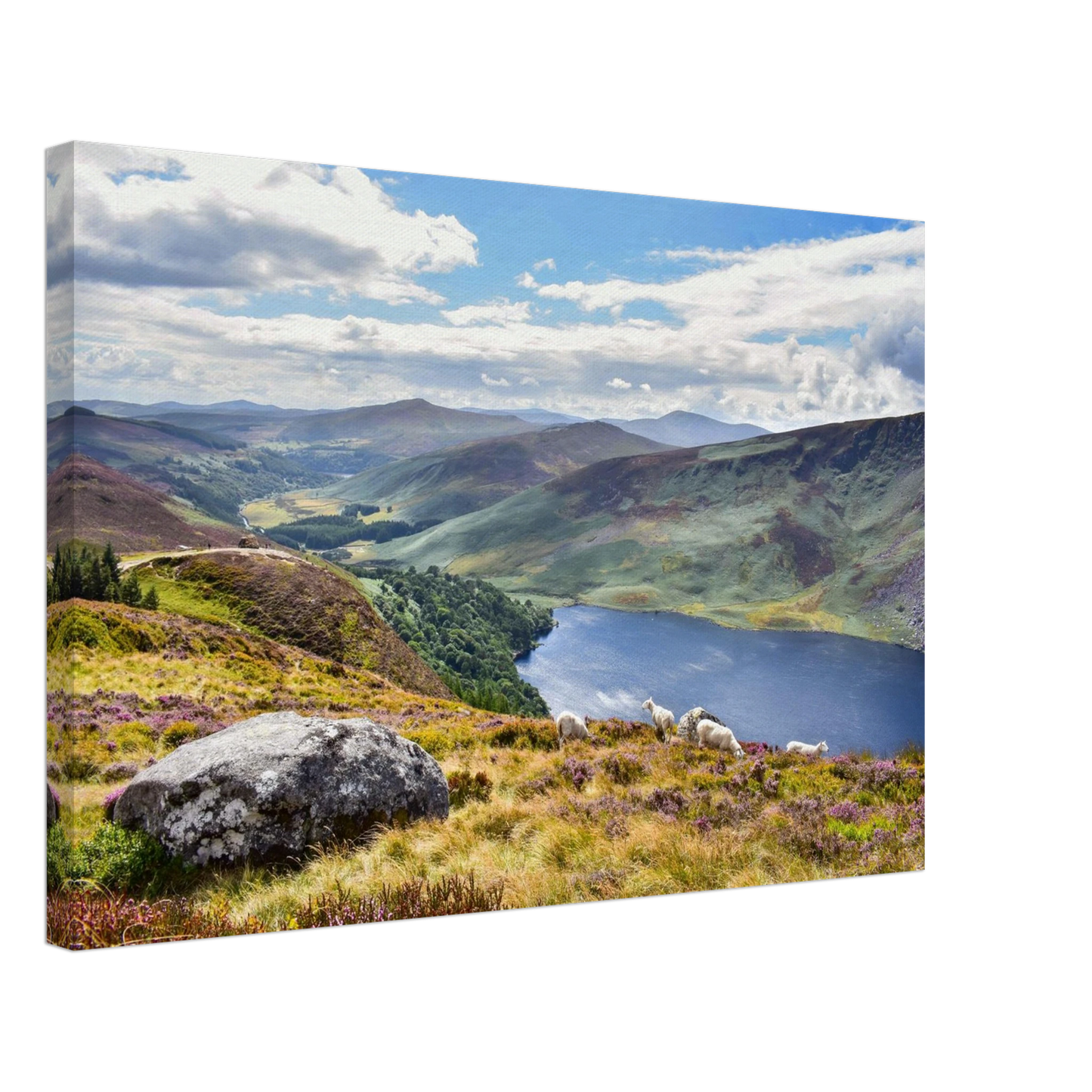 5ce3e2b2-bb21-4fa1-9a3d-637017cc1cdb