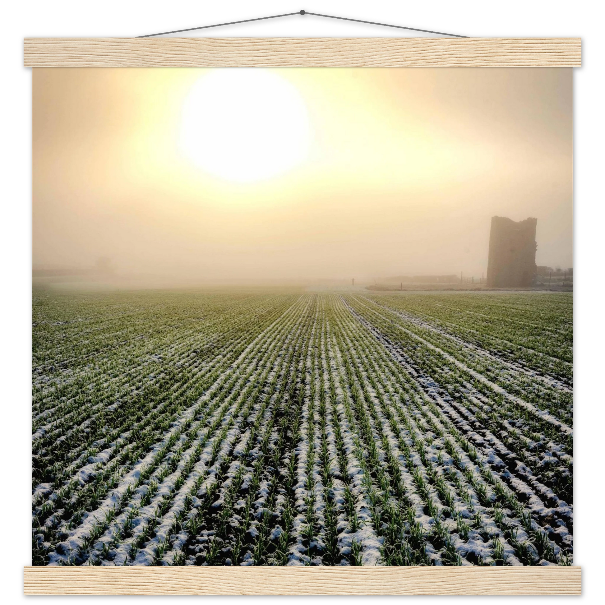 5d06fa0e-be74-458a-bdbf-e296c9288989