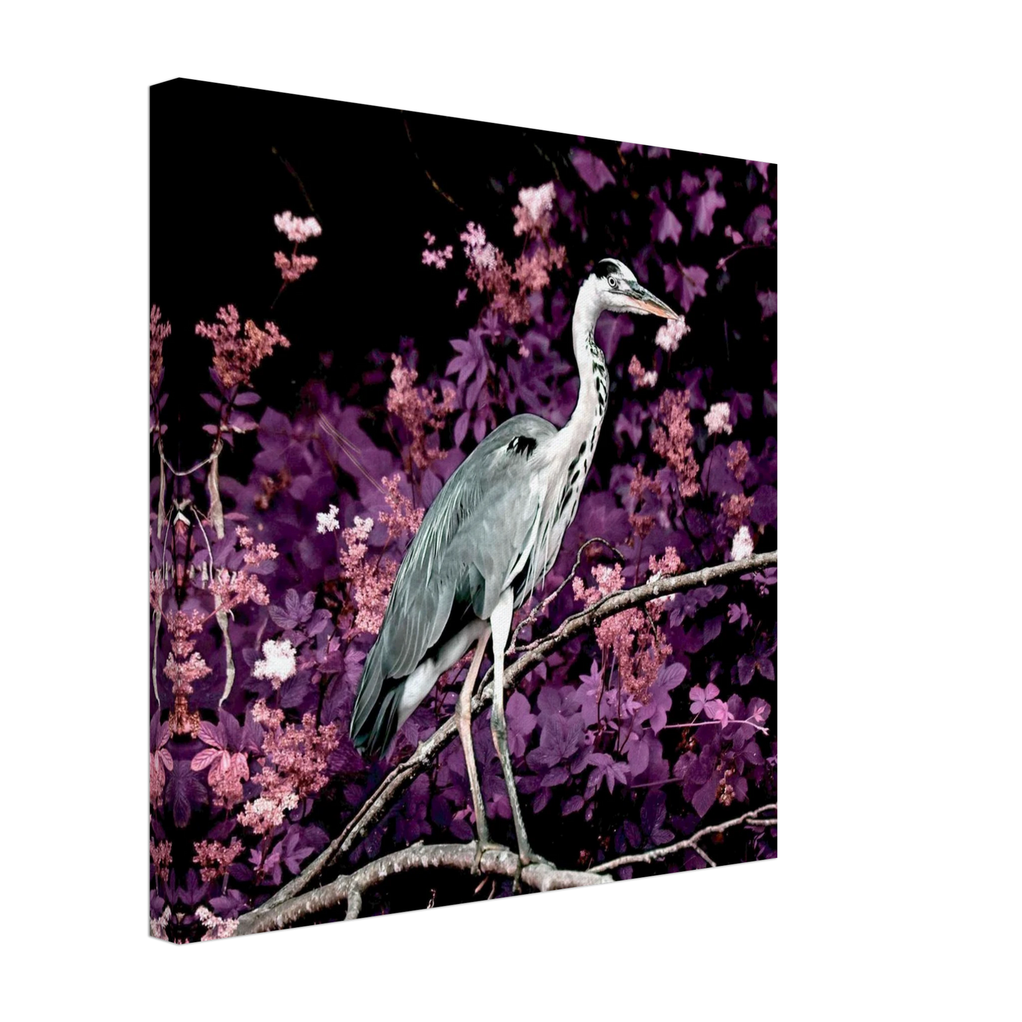 5d42811f-40a4-4d1e-a3d7-16dc714919c0