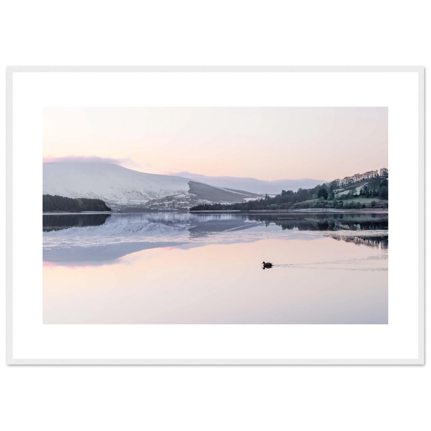 5d782681-8aac-4b9d-bbcd-d50522fd40b3