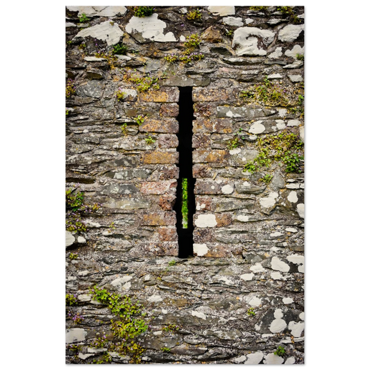 5defb041-fd92-416d-9264-7470cb2e5717