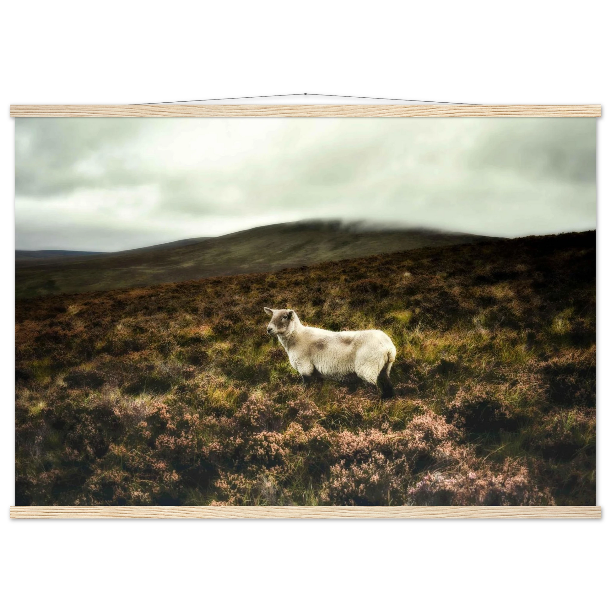 5e14bf60-2163-4e2f-bcd2-eff1c306b946