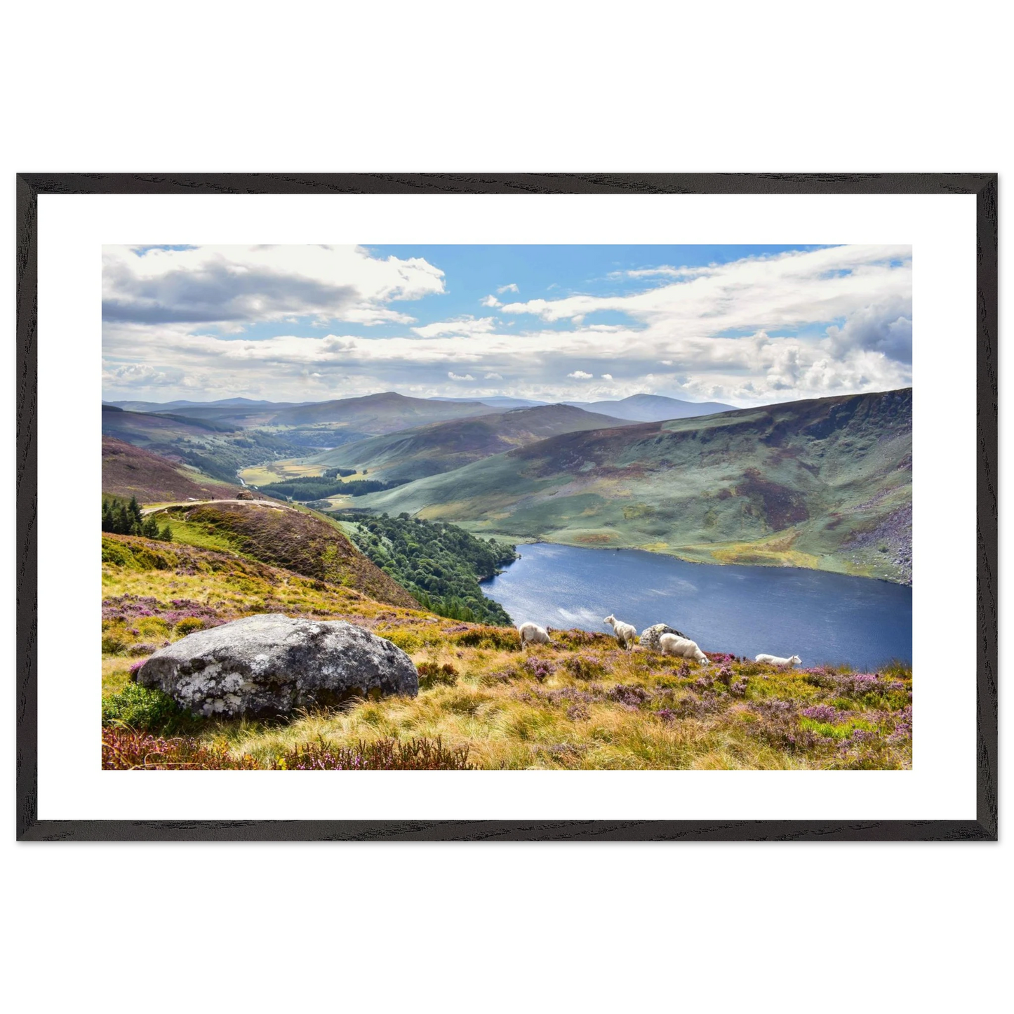 5e181547-8744-49e1-819f-5763f34c556d