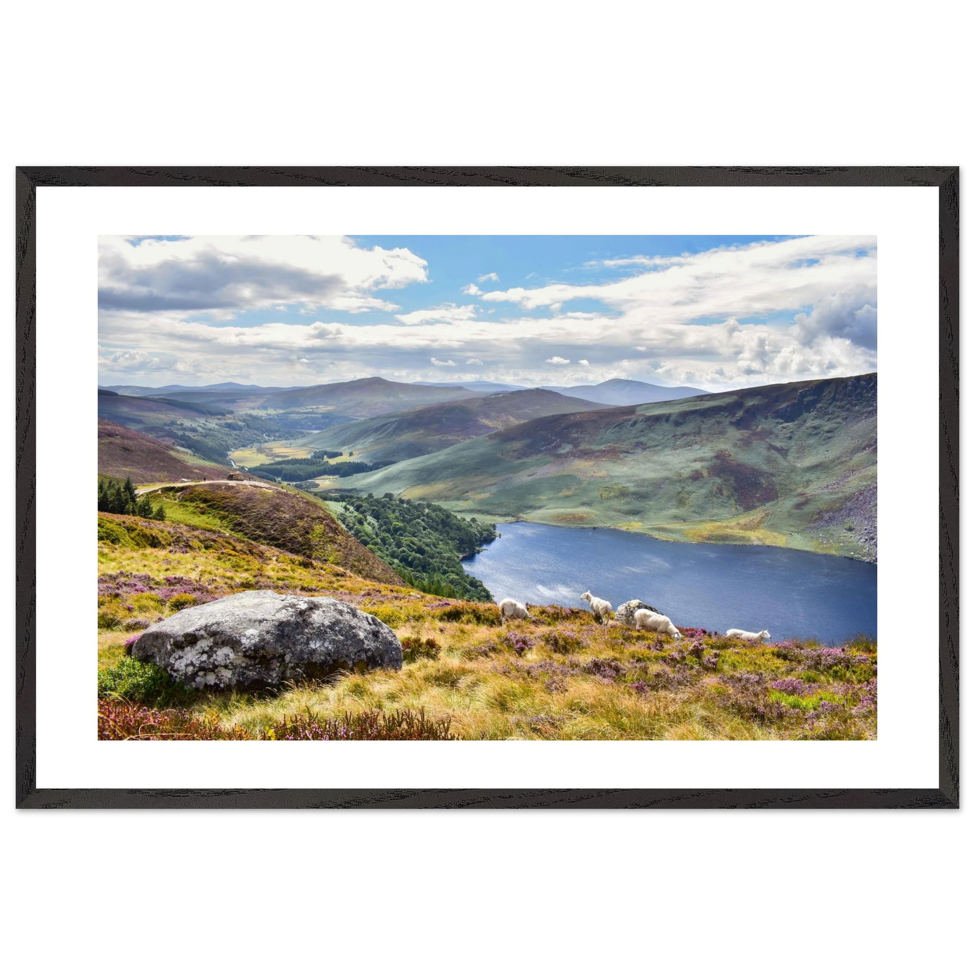 5e181547-8744-49e1-819f-5763f34c556d