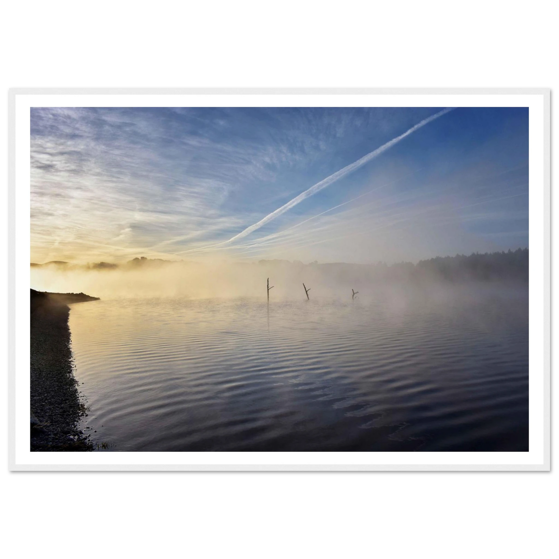 5e87682b-bcc3-4ce8-a88c-9eb56bf43b2d