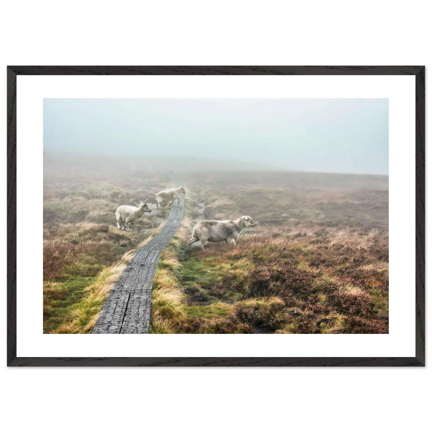 5ed9c846-33fd-4db4-8c40-9ea10364c037