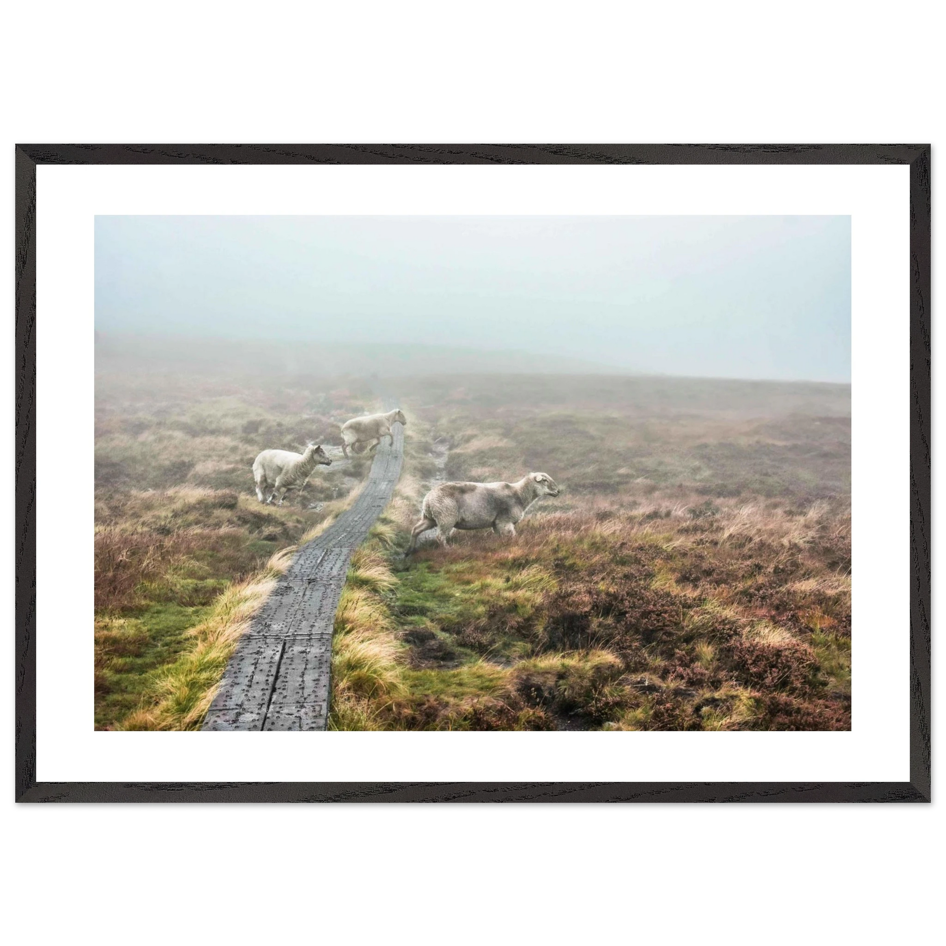 5ed9c846-33fd-4db4-8c40-9ea10364c037