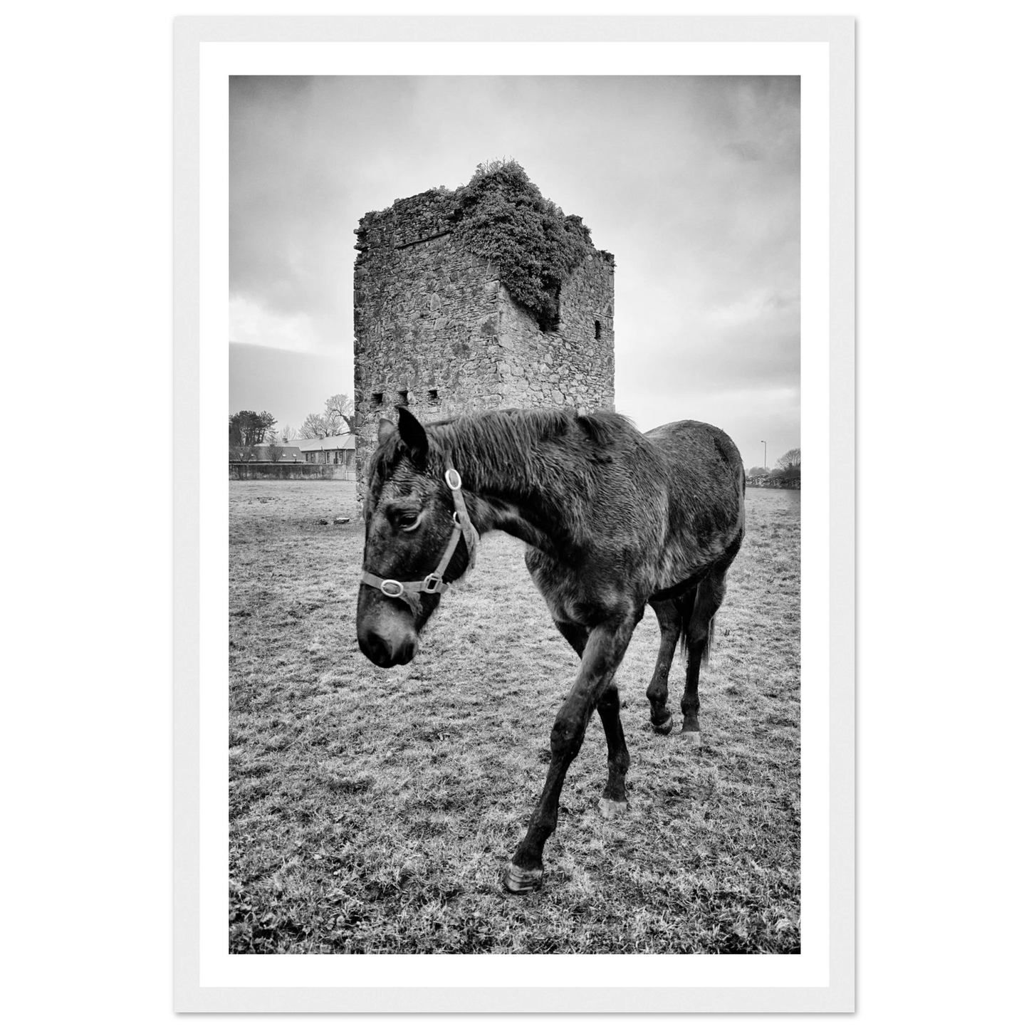 5f39a56a-a04c-4fa0-9321-f76e78425a8a