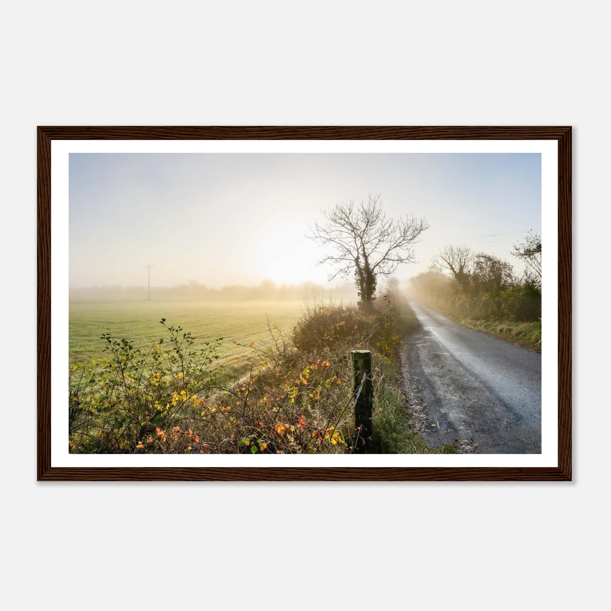 5f75449c-b314-4976-9479-798045b35ca3