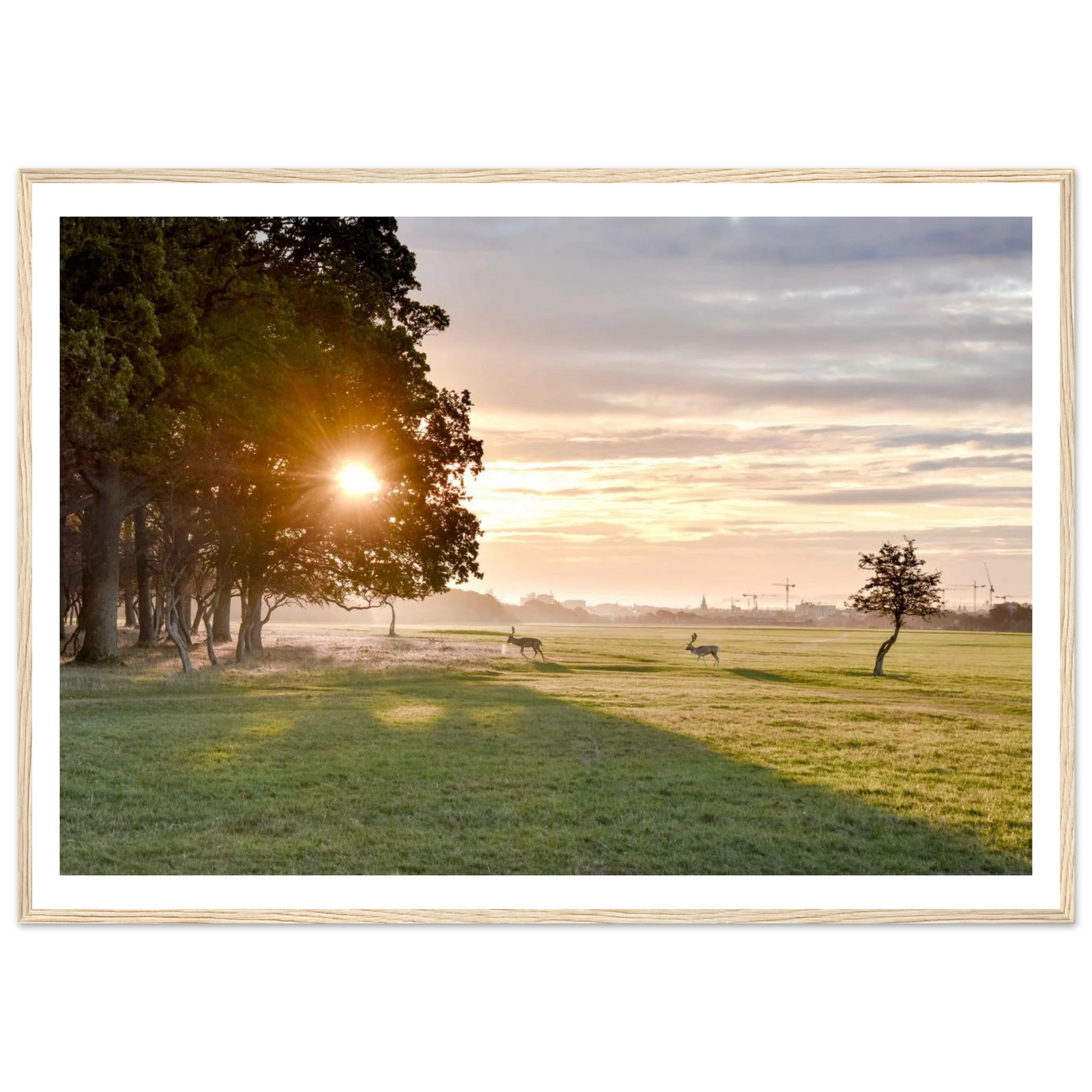 5fa32842-f739-4296-81a2-7d4d2d3fd415