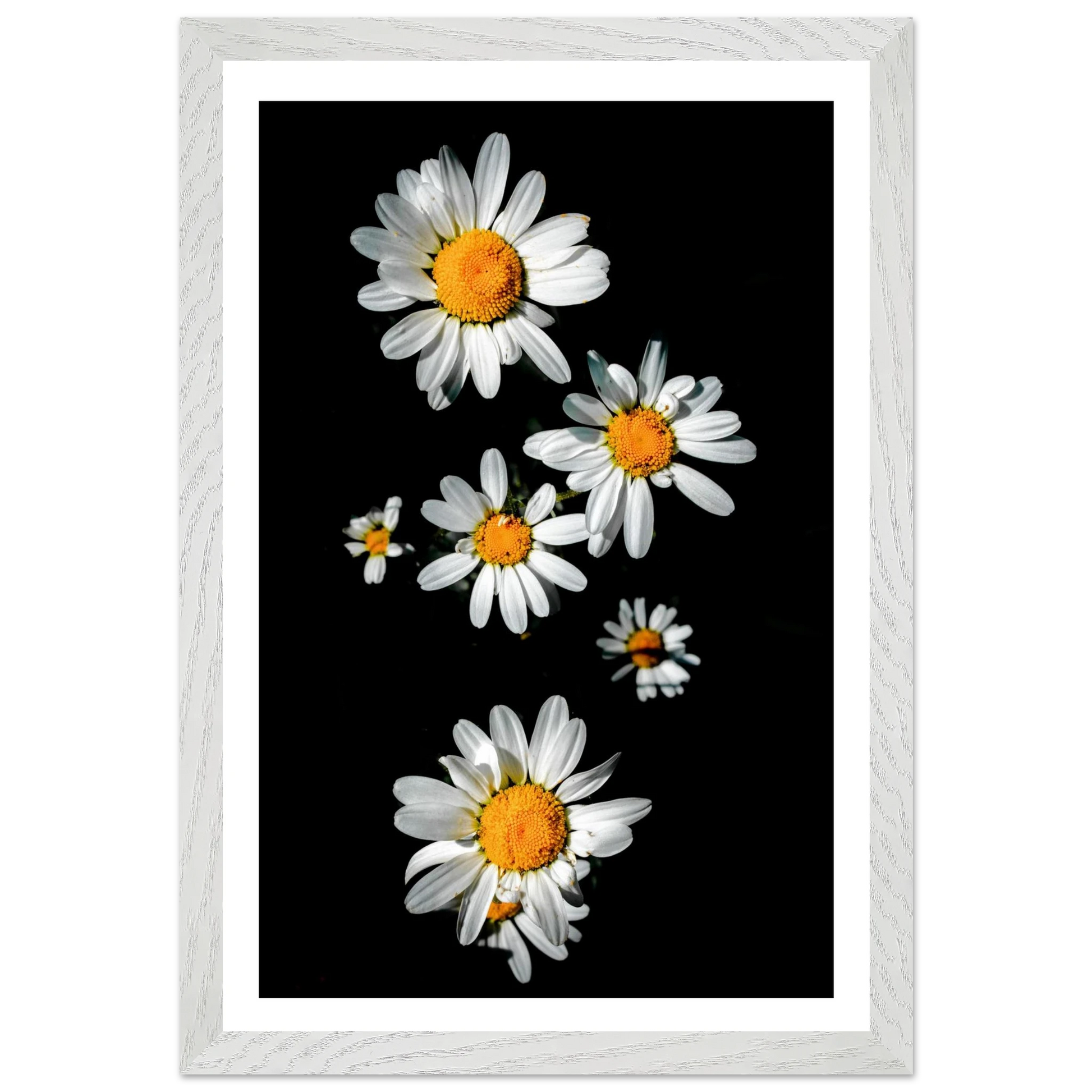 6003d6c9-7a7b-49c4-a353-76d7ffa5bf54