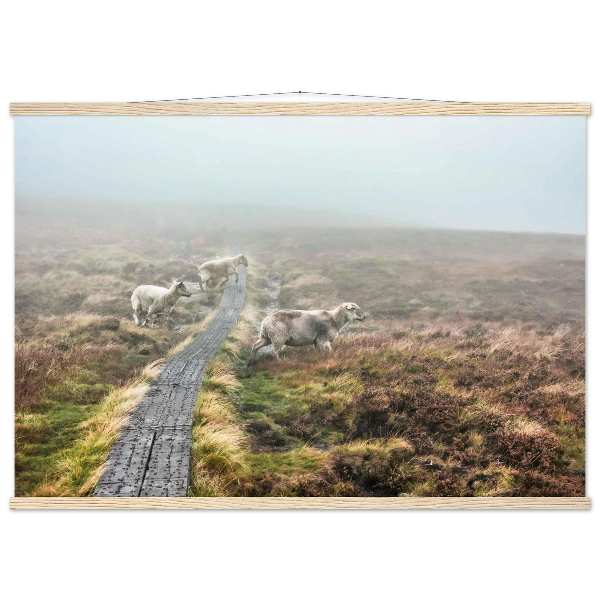 6042f26d-f7b6-4485-8694-3a3662942ca9