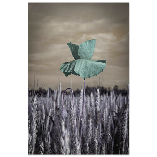 61352220-63c2-449e-9f3e-1f8971145877