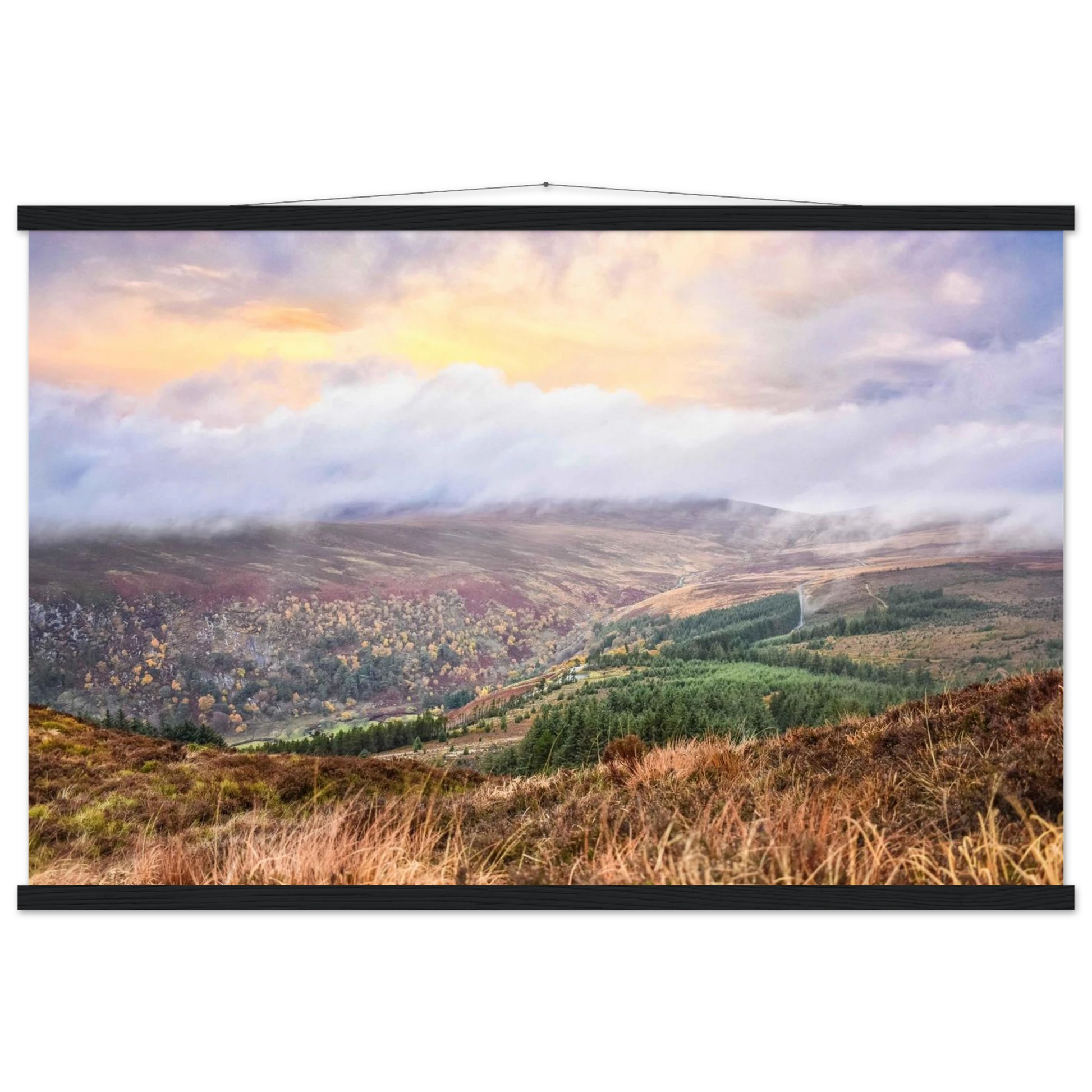 61f91c3b-1f57-41d2-b33f-c250f0291def