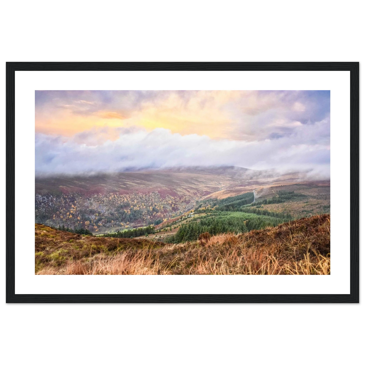 6261b853-8243-4502-8324-0e9adbda8c16