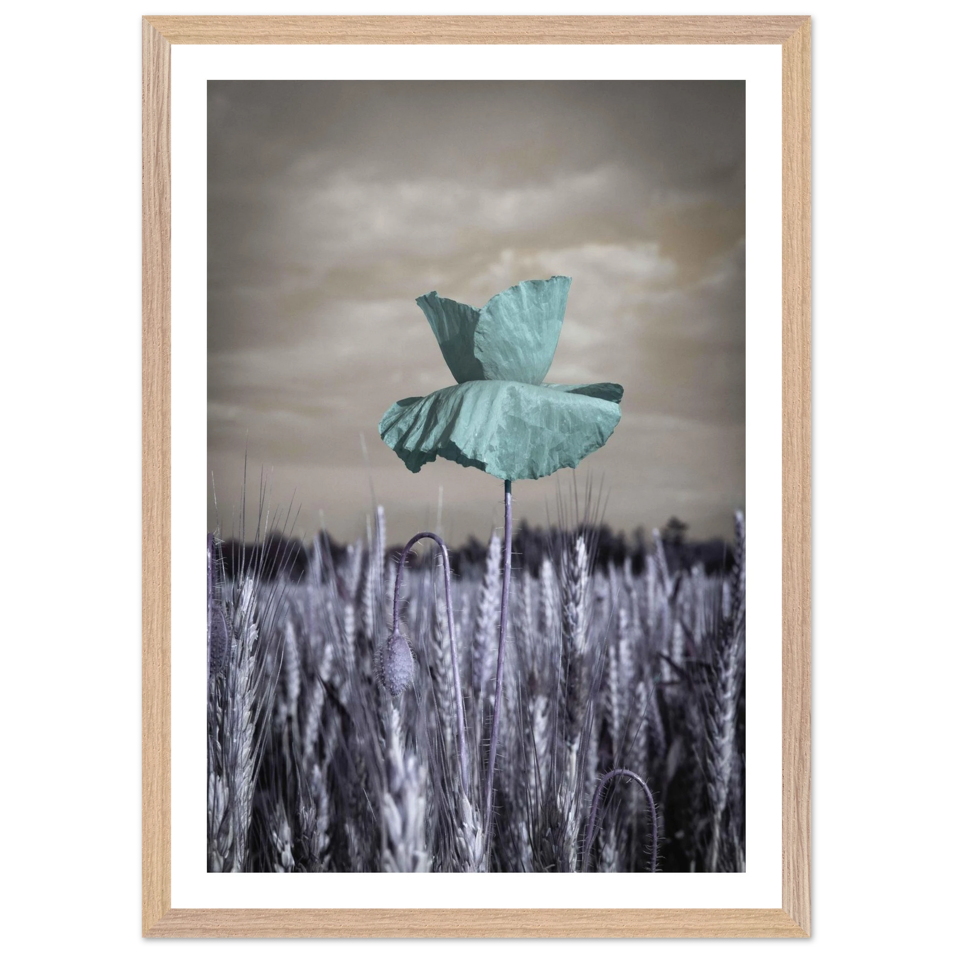 631298ad-a452-46dd-865c-5e801febd490