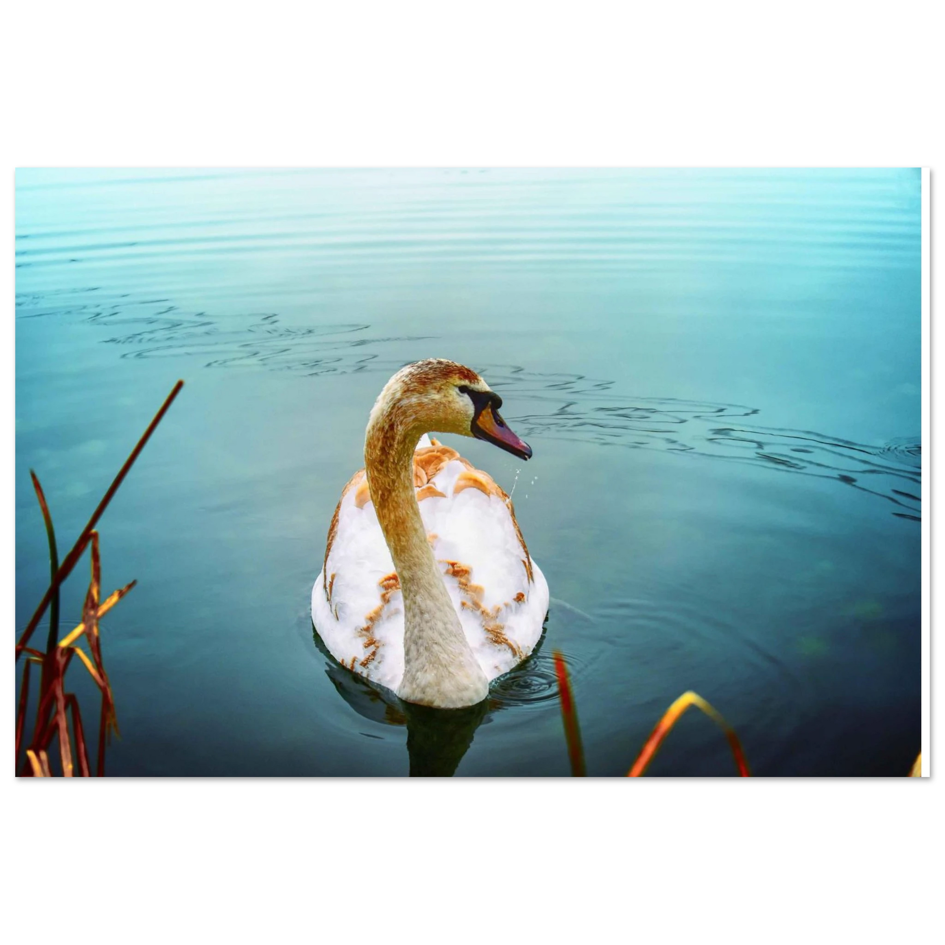 634b6a6a-8122-4d9d-b620-eb9e2d83ffc1