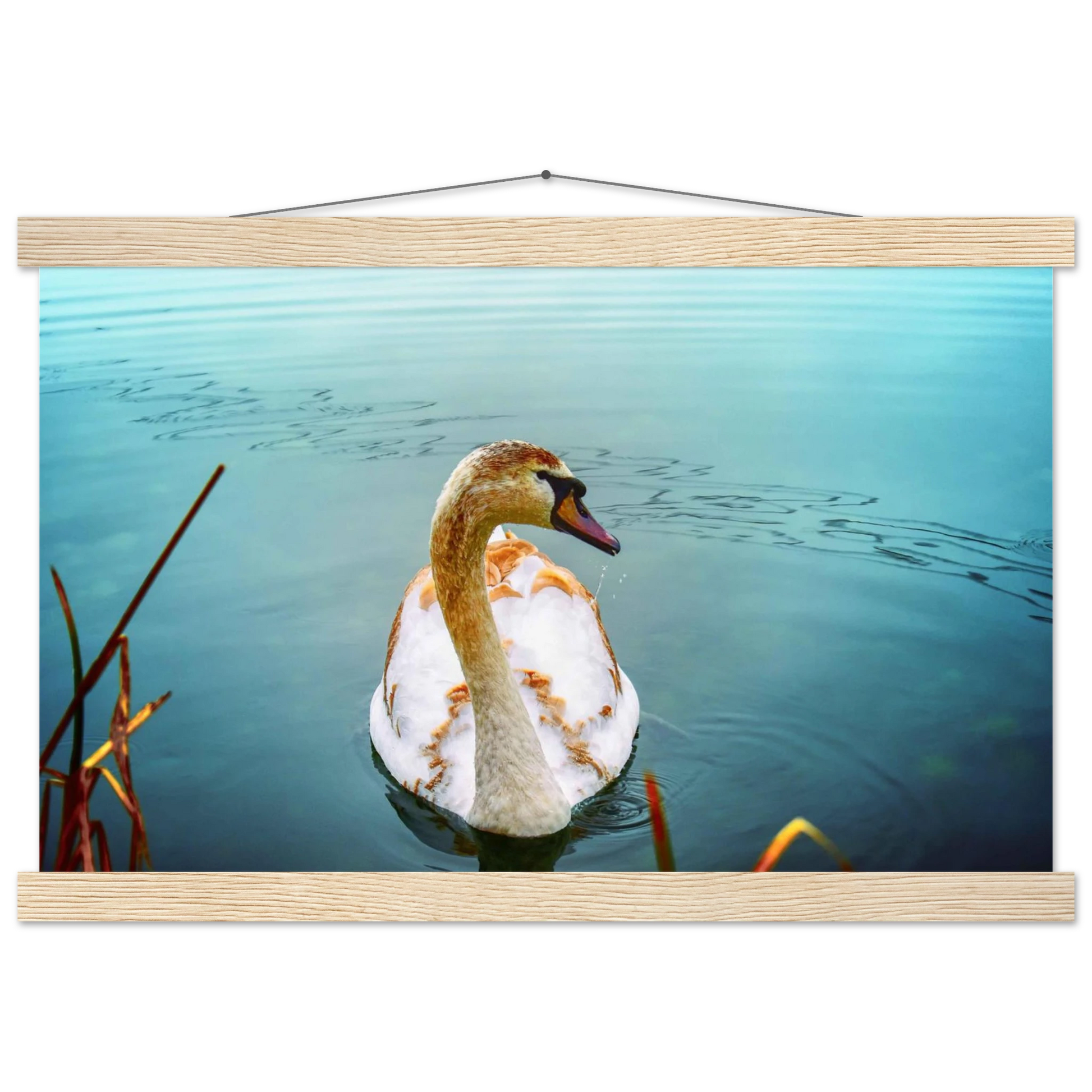 637b61e3-334e-436e-8f5e-e0afe7af0f59