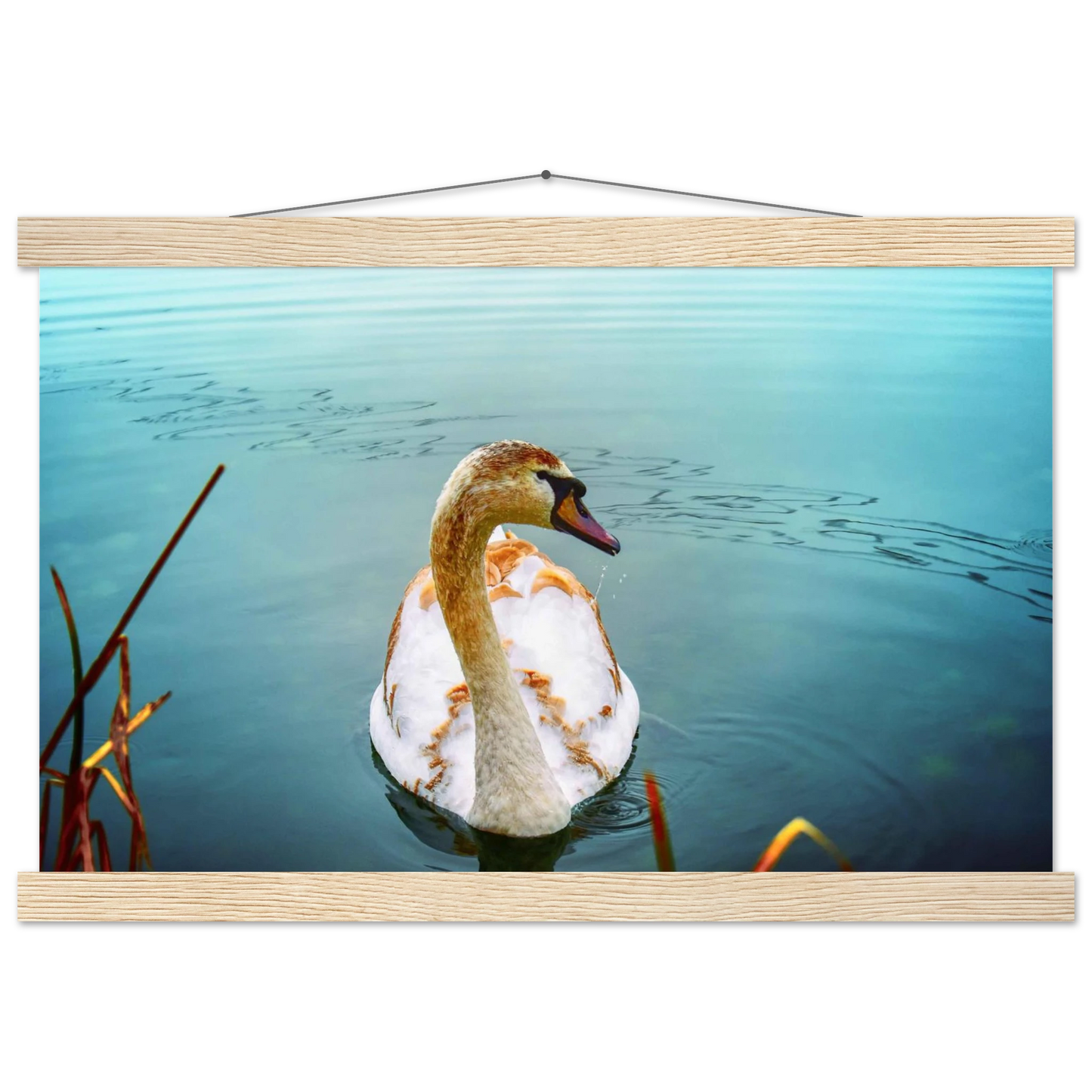 637b61e3-334e-436e-8f5e-e0afe7af0f59