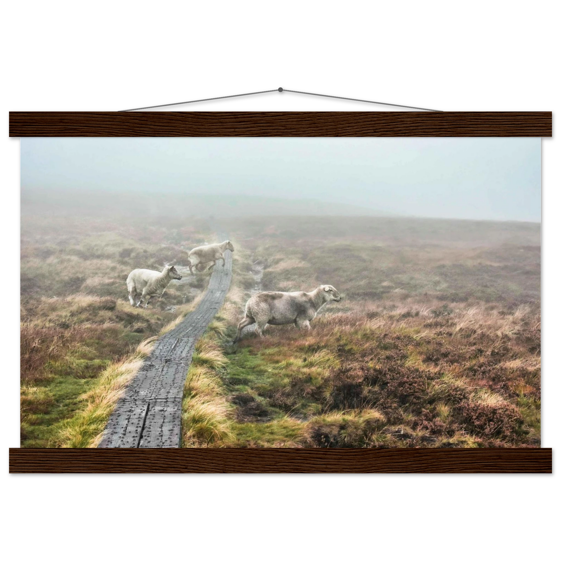 63d6f797-e456-4d03-b3ef-7f9d6f7607d5