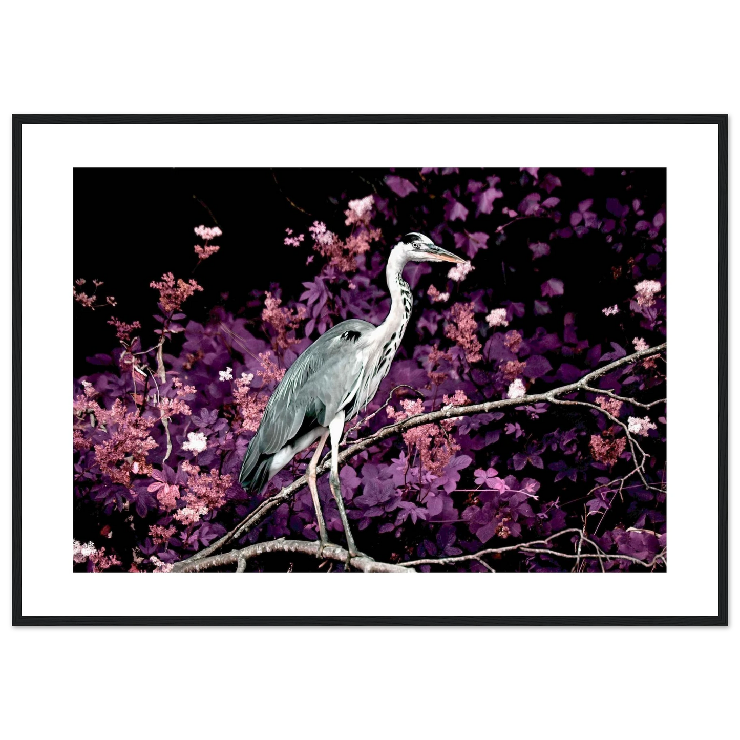 64030398-3f58-4585-b924-70c5493ec17d