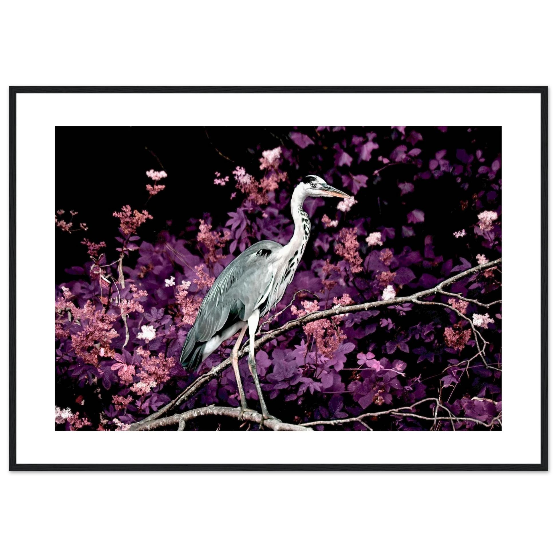 64030398-3f58-4585-b924-70c5493ec17d