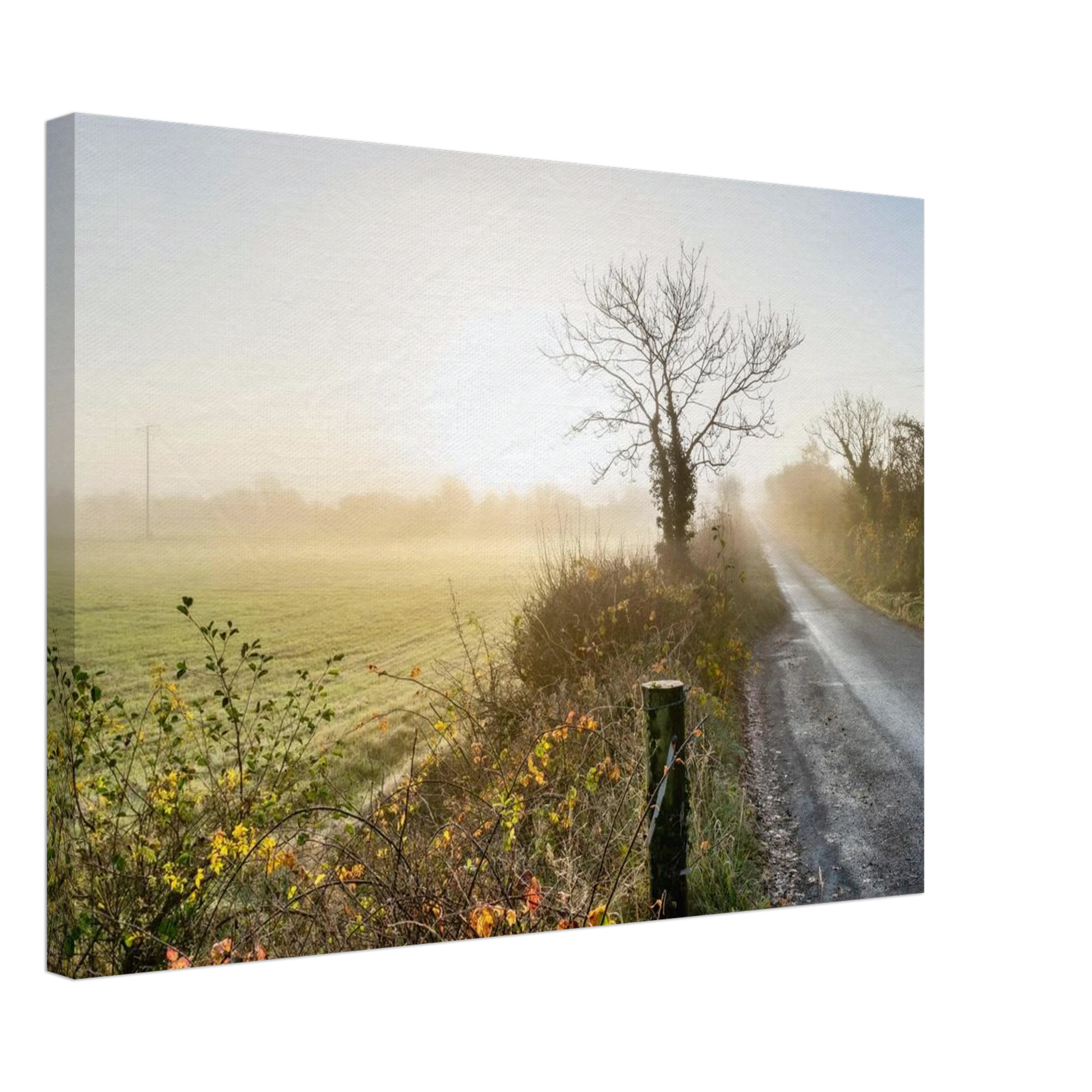 64285fec-6daf-4652-82b1-a33cf00b2762