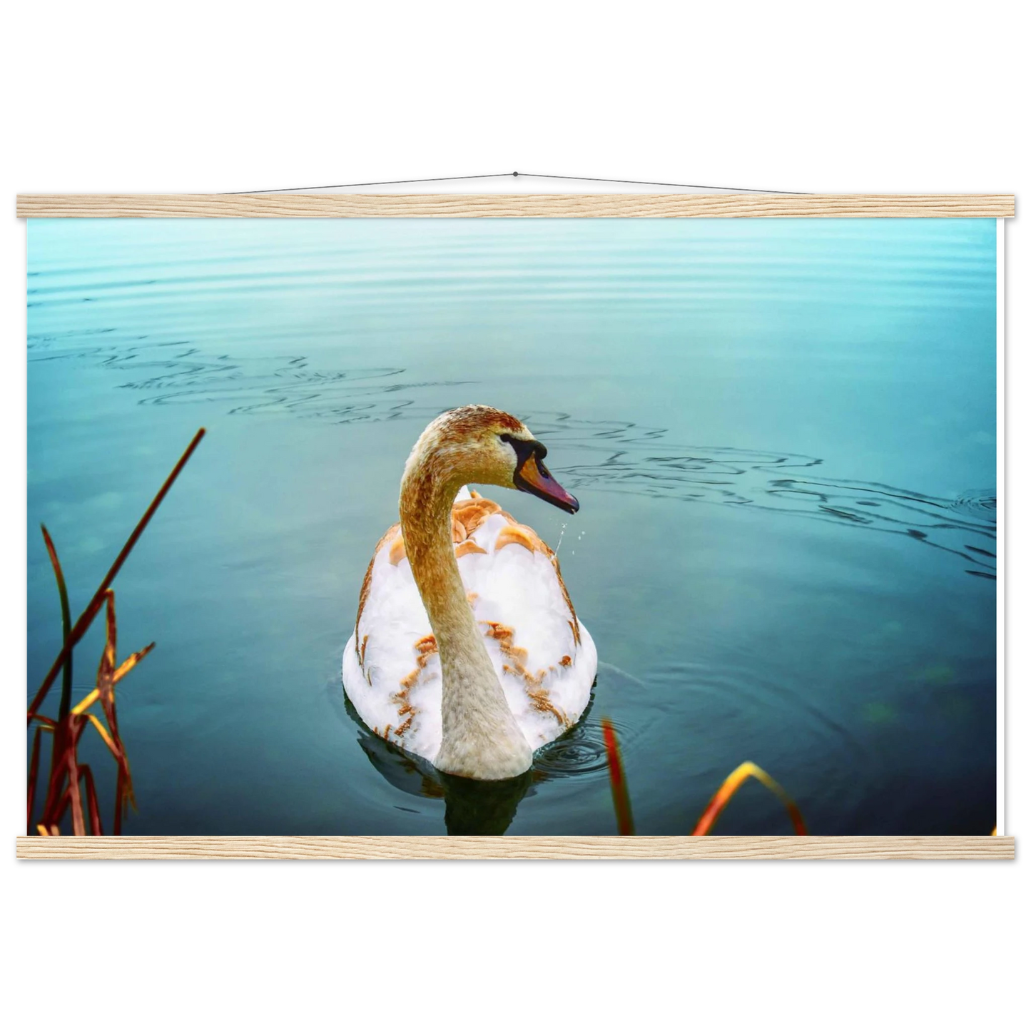 650c5947-bf3d-46f7-9ddf-bd87b051c9d7