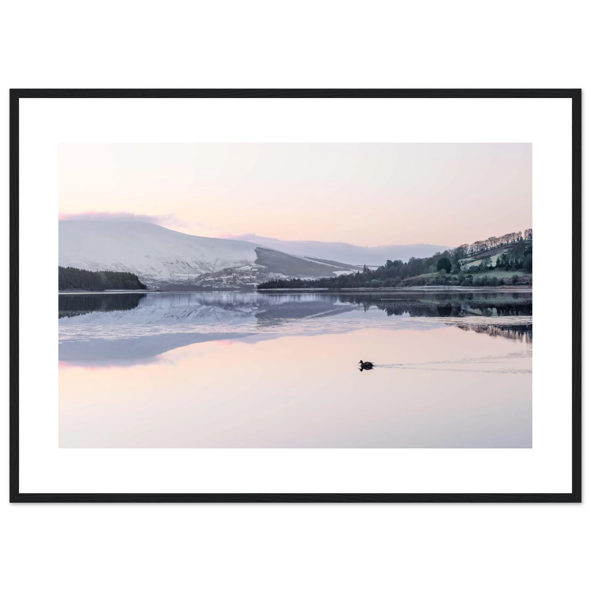 654c1e47-6e69-4cf5-816e-1d79c68a3c1a