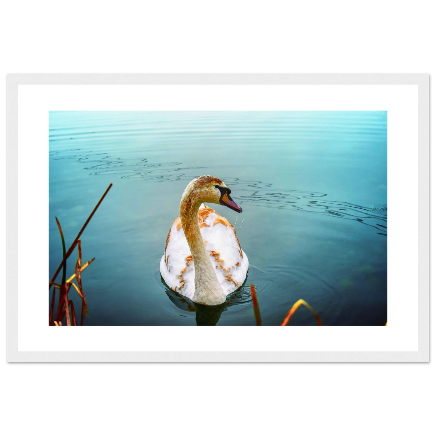 65b27e32-60c7-40b9-a580-bec544e8f3dc