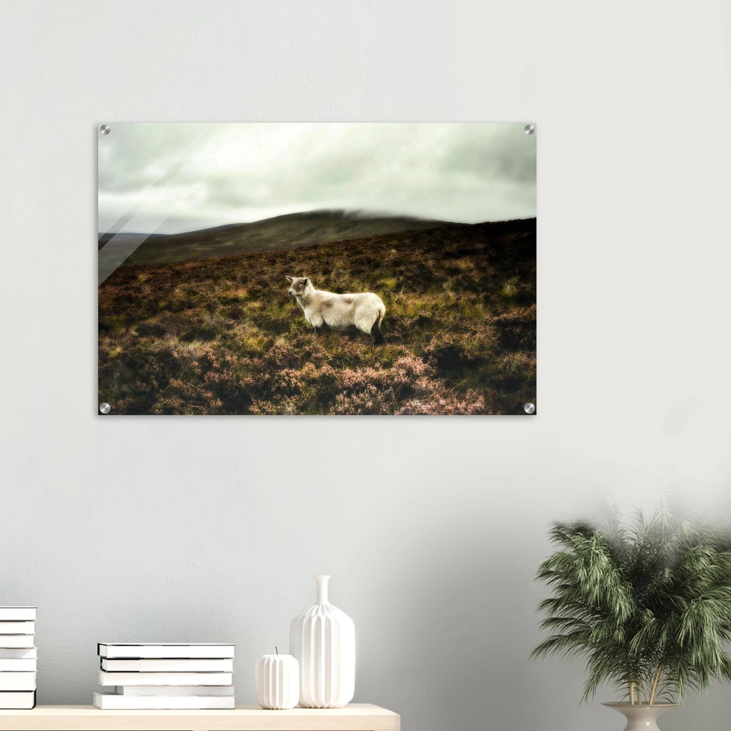 65fbf636-55f6-41ce-b2a9-4e57c1ad4681